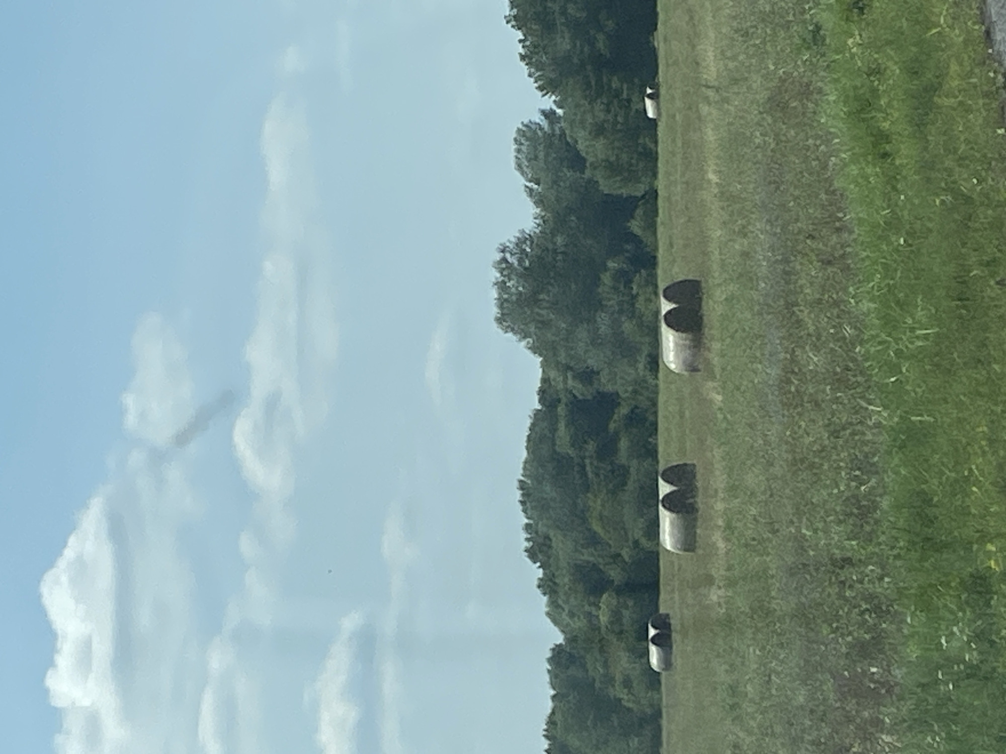 The image depicts a pastoral landscape in the city of Воўчынскі сельскі Савет, Belarus. A field of green grass, with some lighter green weeds, dominates the foreground and midground. Several round hay bales are scattered across the field. In the background, a dense line of green trees forms a treeline. Above the trees, a pale blue sky is visible with scattered white clouds. The scene appears to be a natural, rural environment, possibly a farm or agricultural area.