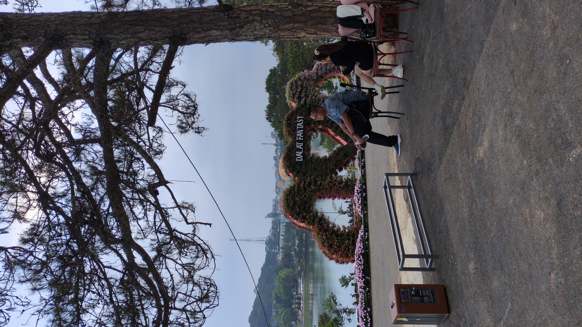 Here is a description of the image:
The image shows a landscape scene next to a lake, most likely the city of Xuân Hương in Đà Lạt, Vietnam. In the foreground, there's a mature tree with intricate branches reaching across the frame. Near the tree is a floral structure that spells out "DALAT FANTASY" in block letters. It's heart-shaped, constructed of greenery and pink flowers, positioned next to the lake. There are two people near the floral structure. One man, dressed in a blue shirt and dark pants, appears to be adjusting his shoes. Another person is seated in a chair behind the floral structure. In the background, the landscape includes a view of the city, with buildings, hills, and a communications tower visible in the distance. The weather appears overcast, with a diffused, grey sky. A metal frame structure sits near the floral arrangement.