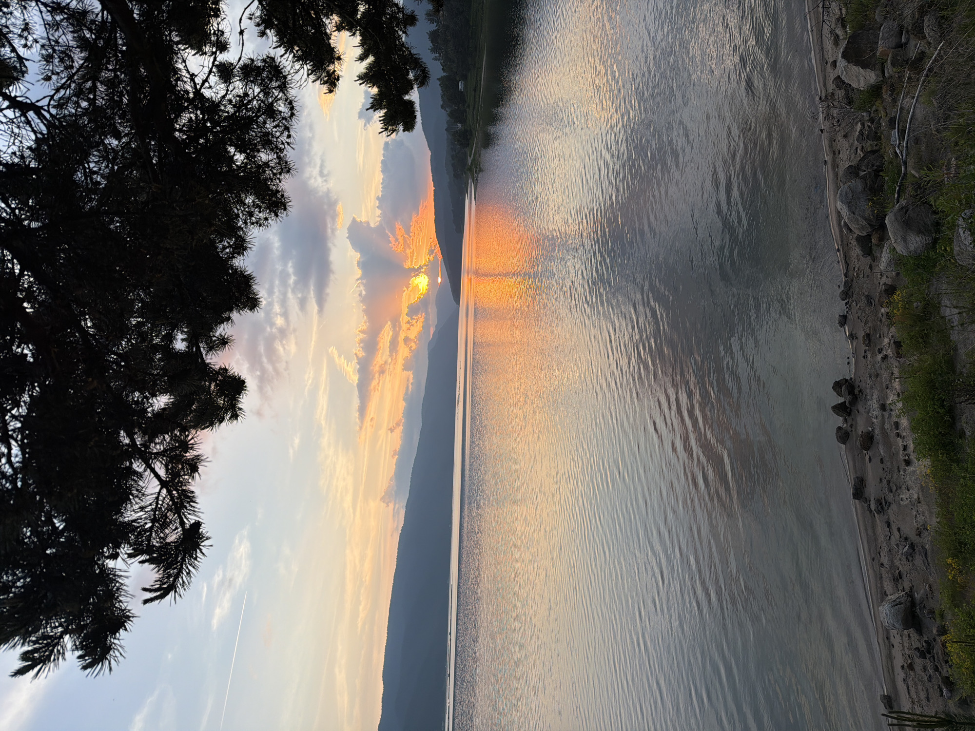 The image displays a sunset over the Dospat Reservoir in Dospat, Bulgaria. The upper portion of the frame is dominated by the dark silhouette of conifer tree branches, extending from the top and upper right. The sky transitions from a pale blue at the zenith to vibrant orange and yellow hues near the horizon, punctuated by scattered clouds in shades of grey, pink, and orange. The sun is visible low on the horizon, partially obscured by clouds, emitting distinct crepuscular rays that fan upwards into the sky and reflect brightly on the water's surface. A single, thin white airplane contrail is present in the upper left quadrant of the sky.
The surface of the reservoir exhibits extensive rippling, reflecting the varying colors of the sky, with a prominent orange reflection from the setting sun. In the background, multiple layers of dark, forested mountains or hills line the far shore. On the right side of the distant shoreline, a curved landmass is visible, covered with dense trees, and a small white structure, possibly a camper van or building, is discernible among the foliage. The immediate foreground features a sandy and rocky shoreline, sparsely populated with green vegetation and various sizes of grey stones and rocks. No individuals are present, and no specific actions are depicted within the scene.
