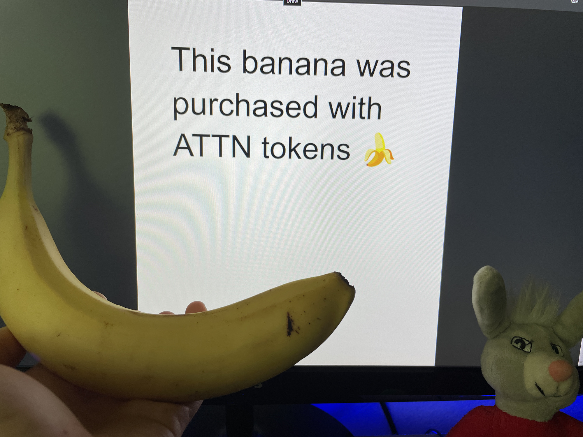 An indoor scene, possibly a desk in Zlatograd, Bulgaria, features a yellow banana held in a person's hand prominently in the foreground. The banana is ripe, with a few small brown spots and a distinct dark bruise near its tip. Behind the banana, a computer monitor displays black text on a white background, which reads: "This banana was purchased with ATTN tokens 🍌". A tiny, barely visible word "Draw" appears at the top center edge of the monitor. To the right side of the frame, partially visible behind the monitor, is a light-colored plush toy, resembling a mouse or rabbit, with large ears, a pink nose, stitched eyes and mouth, and wearing a red shirt. A strip of blue ambient light is visible at the very bottom of the monitor. The background behind the monitor is a plain, light-colored wall. The image appears to be a staged photograph, intended to convey the message on the screen, possibly with a humorous or demonstrative purpose related to cryptocurrency.