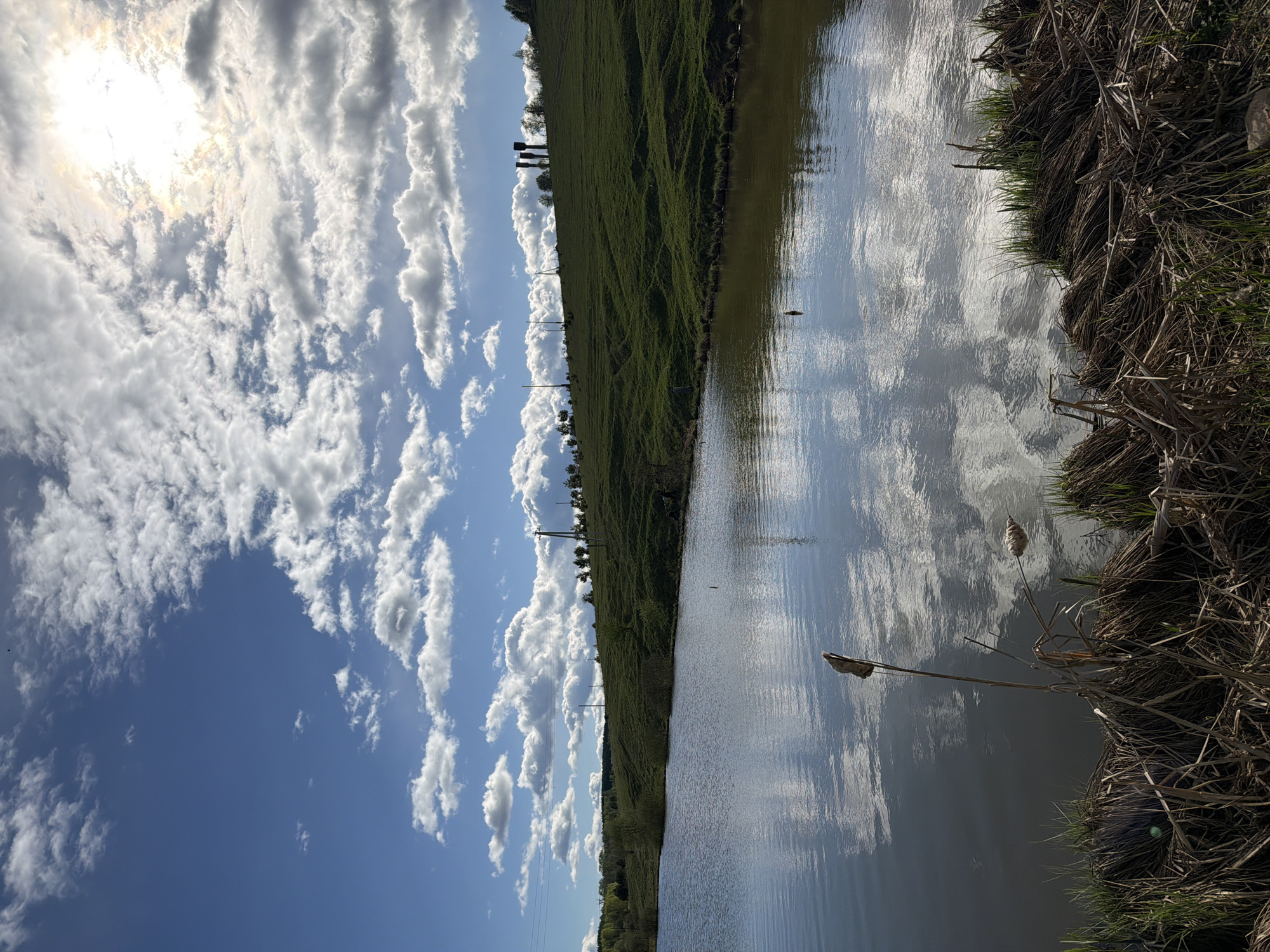 The image depicts a landscape in Фоки, Russia featuring a body of water with the reflection of the sky. The sky is predominantly blue with scattered white clouds and the sun visible. Adjacent to the water is a grassy bank and vegetation. Some dried reeds are visible along the water's edge. A few trees line the horizon. There are no visible people.