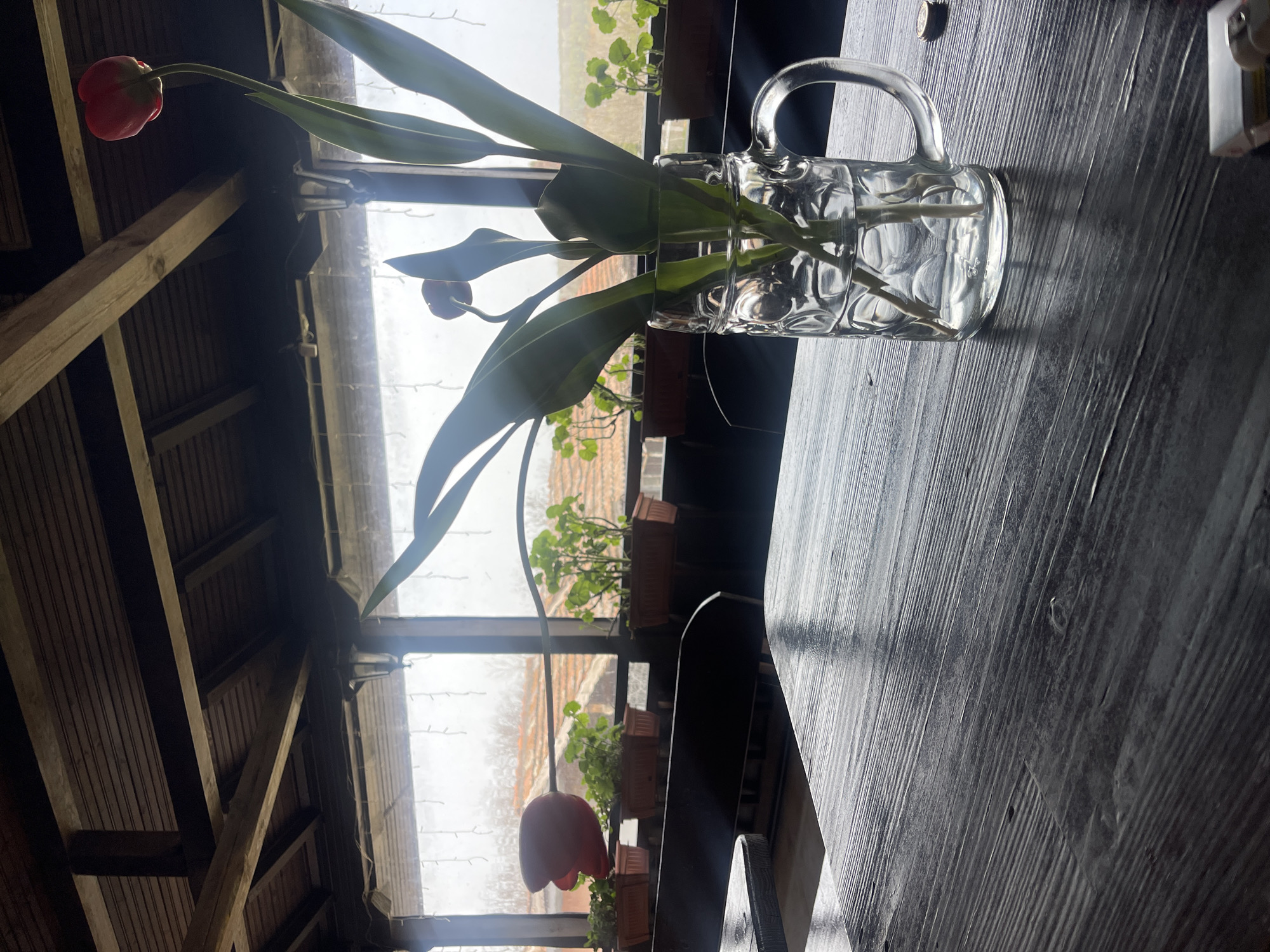A clear glass mug with a handle, holding water and several red tulips with green stems, rests on a dark wooden table. The table appears to be inside a covered structure with exposed wooden beams and slats. In the background, a window or opening reveals a scene with several potted plants and an outdoor area with a red brick structure. The image is rotated slightly, giving a tilted perspective. The location is Somovit, Bulgaria.