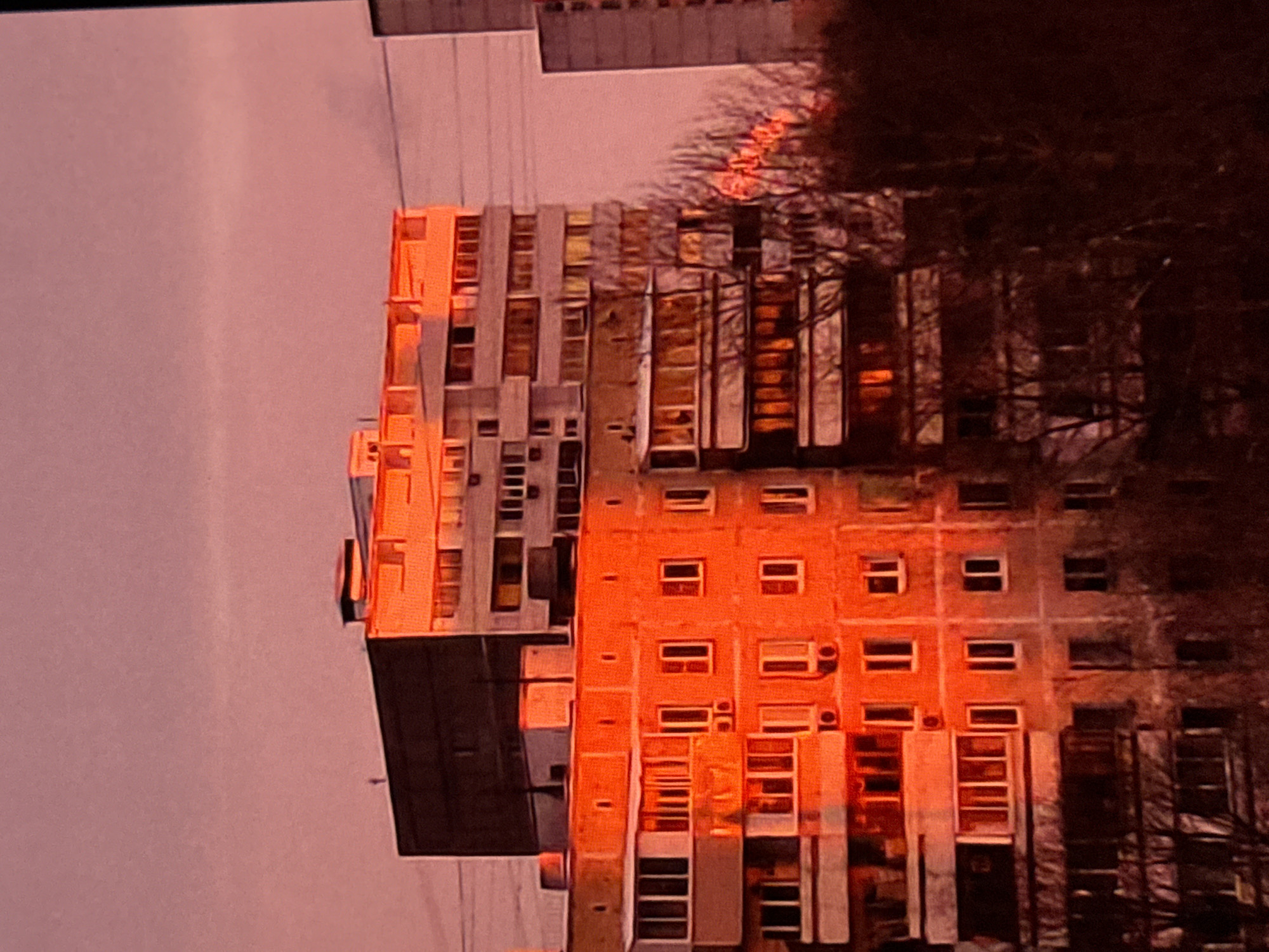This is a photograph of a sunset with a strong orange and pink hue casting a warm glow over a dense urban landscape. The primary subjects are several multi-story apartment buildings. The building in the foreground is a bright orange color and features numerous windows and balconies. Above it, a taller, more modern-looking building with a grey facade rises. To the right, another building is partially visible, appearing taller and more distant. The sky is a soft pinkish-orange, suggesting either sunrise or sunset. In the lower right portion of the image, dark silhouettes of trees are visible, their branches bare, indicating a temperate climate, possibly during autumn or winter. There are no people or specific activities depicted in the image. The overall impression is one of a residential area bathed in the dramatic light of a colorful sky. The image does not contain any identifiable landmarks or features that would indicate a specific location within Los Angeles, or anywhere else in the United States of America.