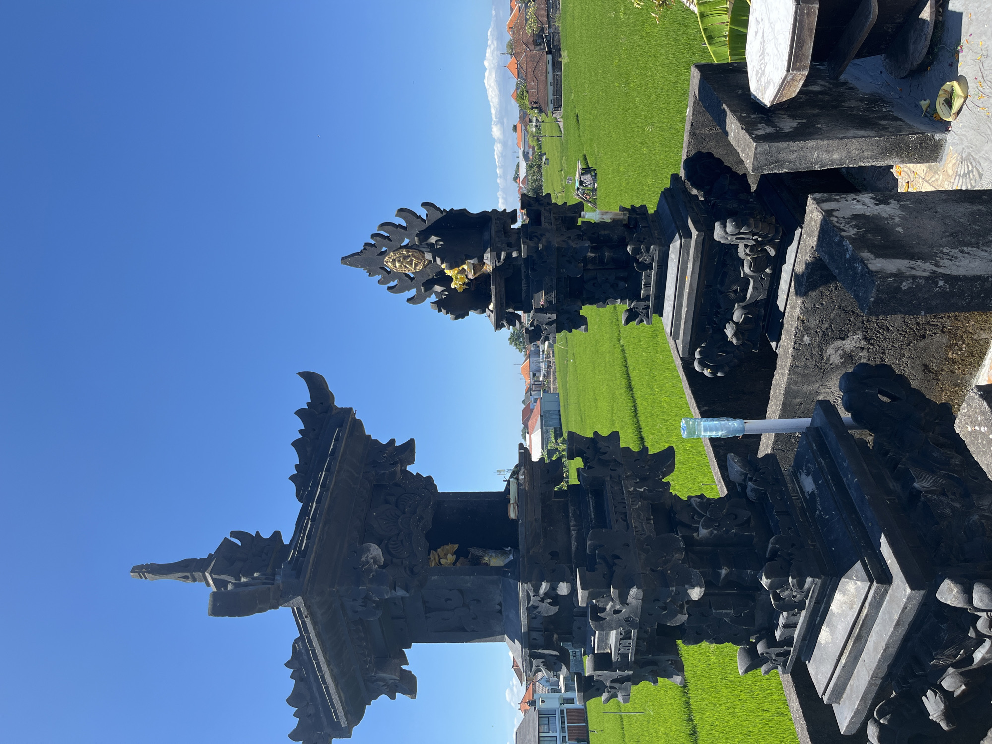 The image shows two ornate, black stone structures, likely shrines or small temples, set against a backdrop of vibrant green rice paddies. The structures are intricately carved with decorative elements and appear to be of Balinese architectural style. Offerings, including yellow flowers, are placed on one of the structures.
Behind the structures, the background reveals a village scene with houses and buildings with orange tiled roofs. The sky is clear and blue.
Given the architecture and agricultural landscape, the location is likely in the vicinity of Denpasar, Indonesia. There are no people visible in the image.