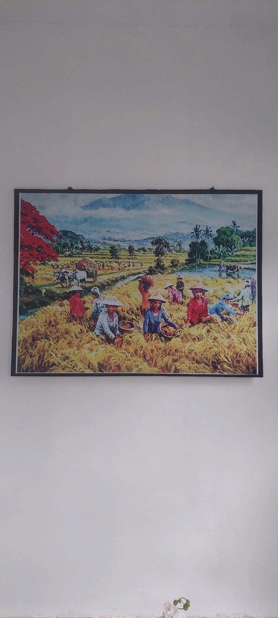 The image shows a painting depicting a rural scene, likely a rice paddy harvest in Lumajang, Indonesia. The foreground is filled with golden stalks of harvested rice, with several figures engaged in the harvest. These individuals, predominantly women, wear conical straw hats, a common sight in Southeast Asian agricultural settings. They are depicted in various poses, some bending down to gather rice, others carrying bundles on their heads or in baskets. Their attire is simple, consisting of traditional clothing. In the middle ground, a path or canal runs through the paddy, and a cart pulled by two oxen is visible, suggesting the transportation of the harvest. Further in the background, there are more figures working in the fields, palm trees, and lush greenery. The backdrop features rolling hills and mountains, with a hazy sky suggesting either dawn, dusk, or a humid atmosphere. The painting style is impressionistic, with vibrant colors and visible brushstrokes, giving a lively and active feel to the scene.
