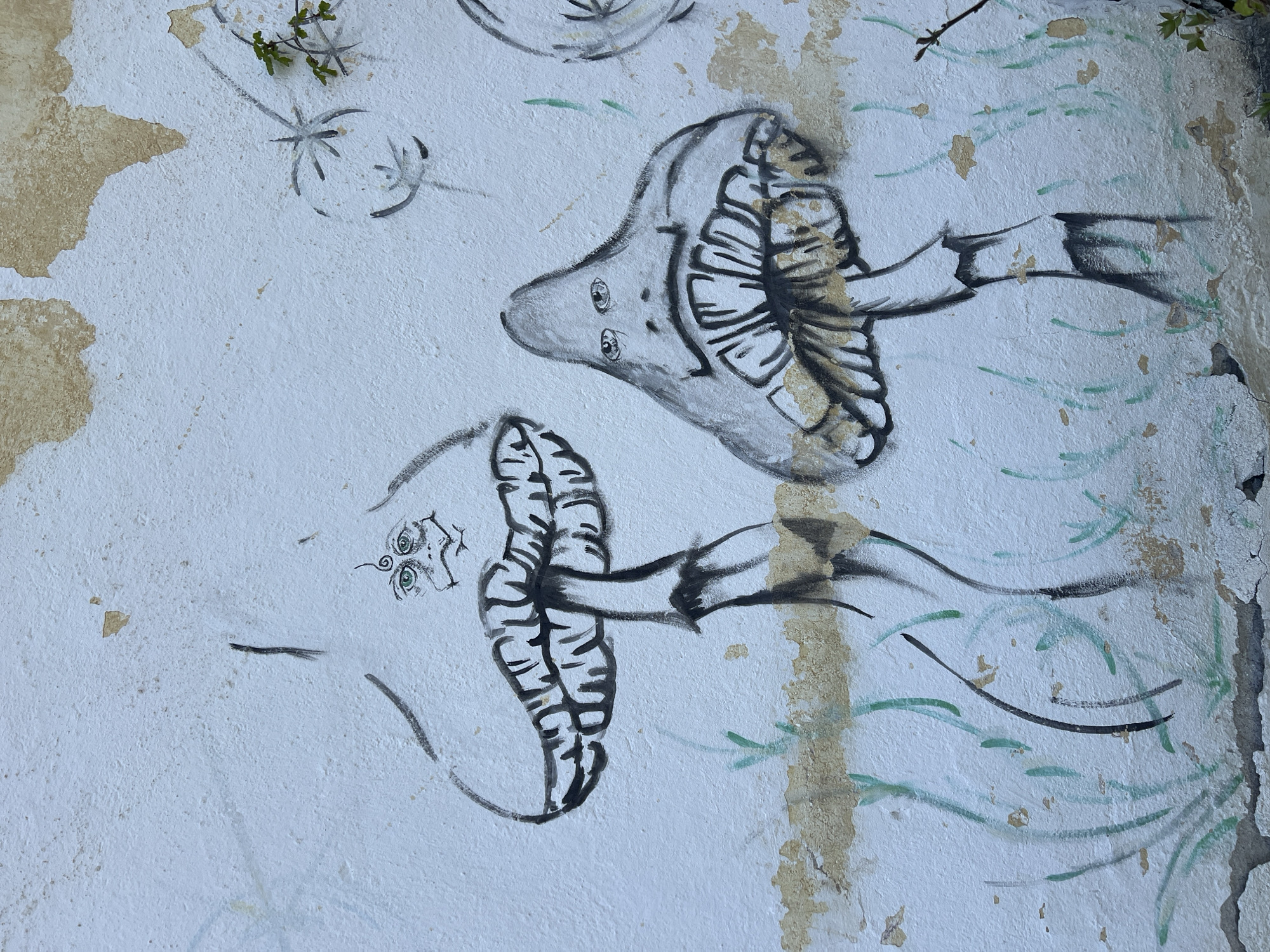 On a peeling, white-painted wall in Boikovo, Bulgaria, two cartoon mushrooms are drawn in black ink or paint. The upper mushroom has a rounded cap with eyes and a defined stem, while the lower mushroom features a downward-facing, human-like face. Green streaks are painted beside the mushrooms, suggesting a grassy environment. Patches of old, peeling paint are visible throughout the image.