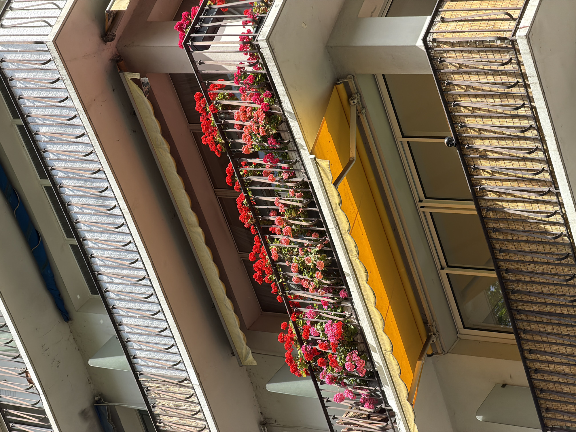 From a low-angle perspective, the image captures a portion of a building facade in what is likely Paris, France, given the architectural style. The building features multiple balconies, each with distinct characteristics.
The first balcony on the left has a louvred sunshade, partially obscuring the view behind it.
The central balcony is adorned with vibrant red and pink geraniums cascading over the railing.
The balcony on the right features a brown woven bamboo screen for privacy or sun protection. A closed yellow awning is attached to the building above this balcony.
The overall impression is that of a well-maintained building with residents who take pride in their living spaces.