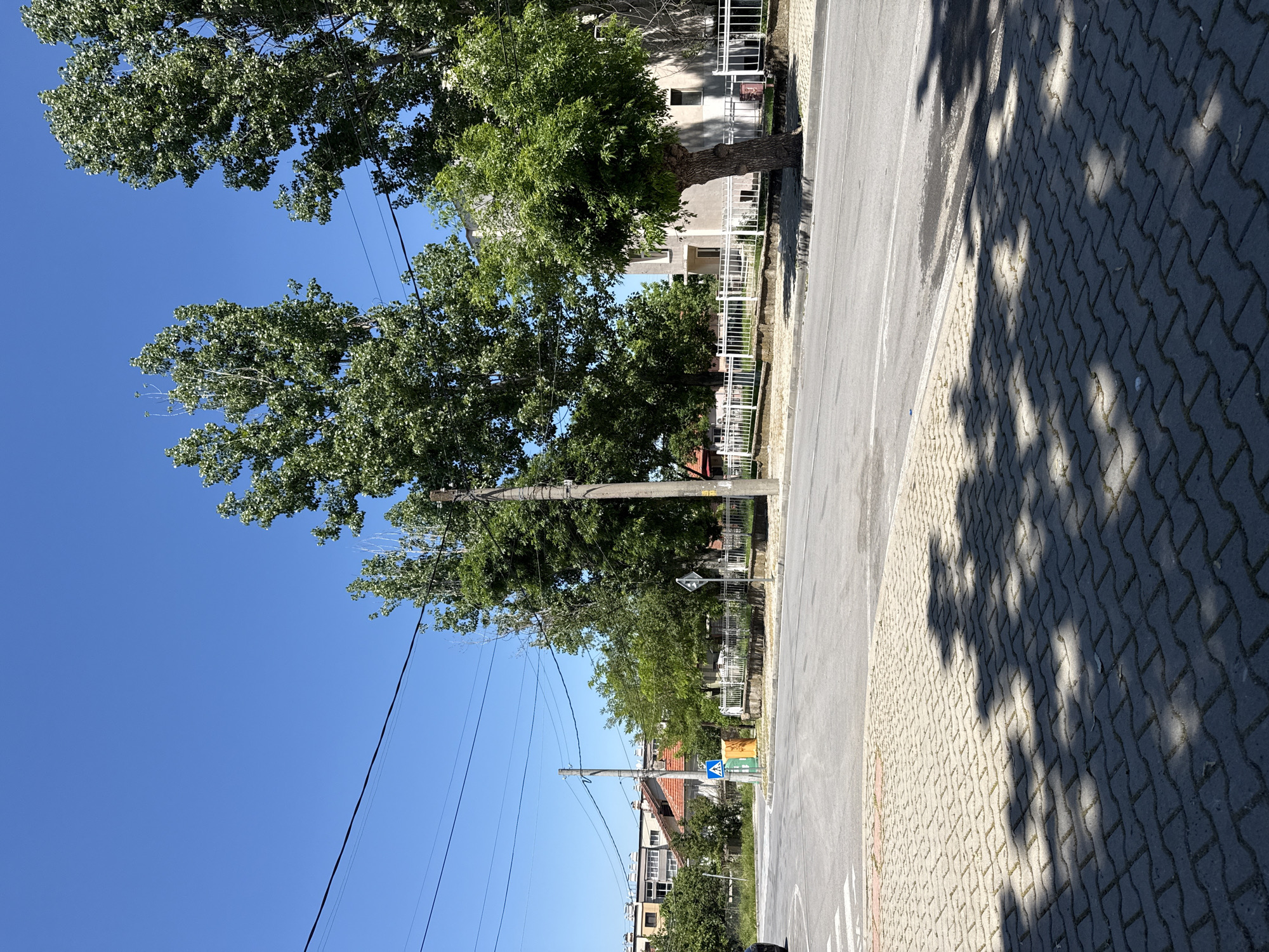 The image depicts a street scene in Elhovo, Bulgaria. The location is characterized by mature deciduous trees lining the roadside. A paved road runs along the left side of the frame, with a sidewalk on the right, paved with gray interlocking bricks. Shadows from the trees cast dappled patterns across the sidewalk. Buildings, including residences, are visible behind white fences. Utility poles and power lines run alongside the road. A pedestrian crossing sign is visible in the distance. The sky is clear and blue. There are no people visible in the frame.