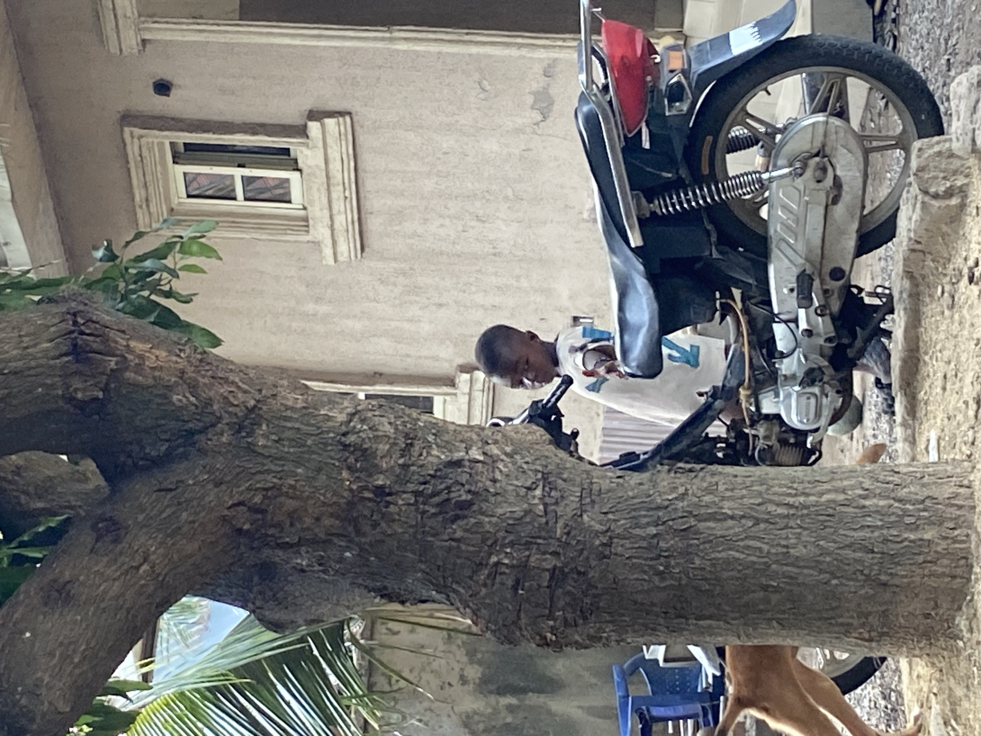 A young Black male in a white shirt is working on a motorcycle parked outside a building in Mararaba, Nigeria. A large tree with thick branches dominates the foreground, partially obscuring the scene. A window with a decorative frame is visible on the building's exterior. Part of a blue plastic chair is near the base of the tree. The motorcycle is partially disassembled, with its engine exposed. A dog's legs can be seen.