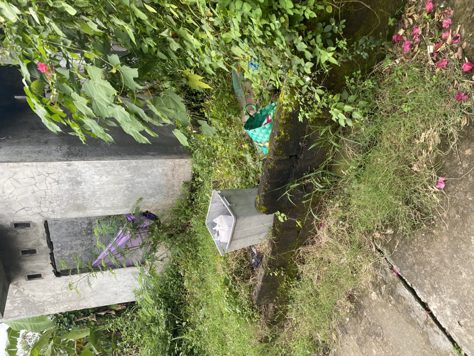 The image depicts a concrete wall, a metal trash can, and a green woven basket. The trash can is partially filled with a white plastic bag. The woven basket is near the wall and the trash can, with the green side facing the viewer. The scene is located in the city of Kecamatan Piyungan, Indonesia, based on coordinates (latitude: -7.827, longitude: 110.481). The scene is outdoors, with green foliage and a concrete path in the foreground. The wall is covered with moss. There are several pink flowers scattered on the ground. There are no people present in the image.