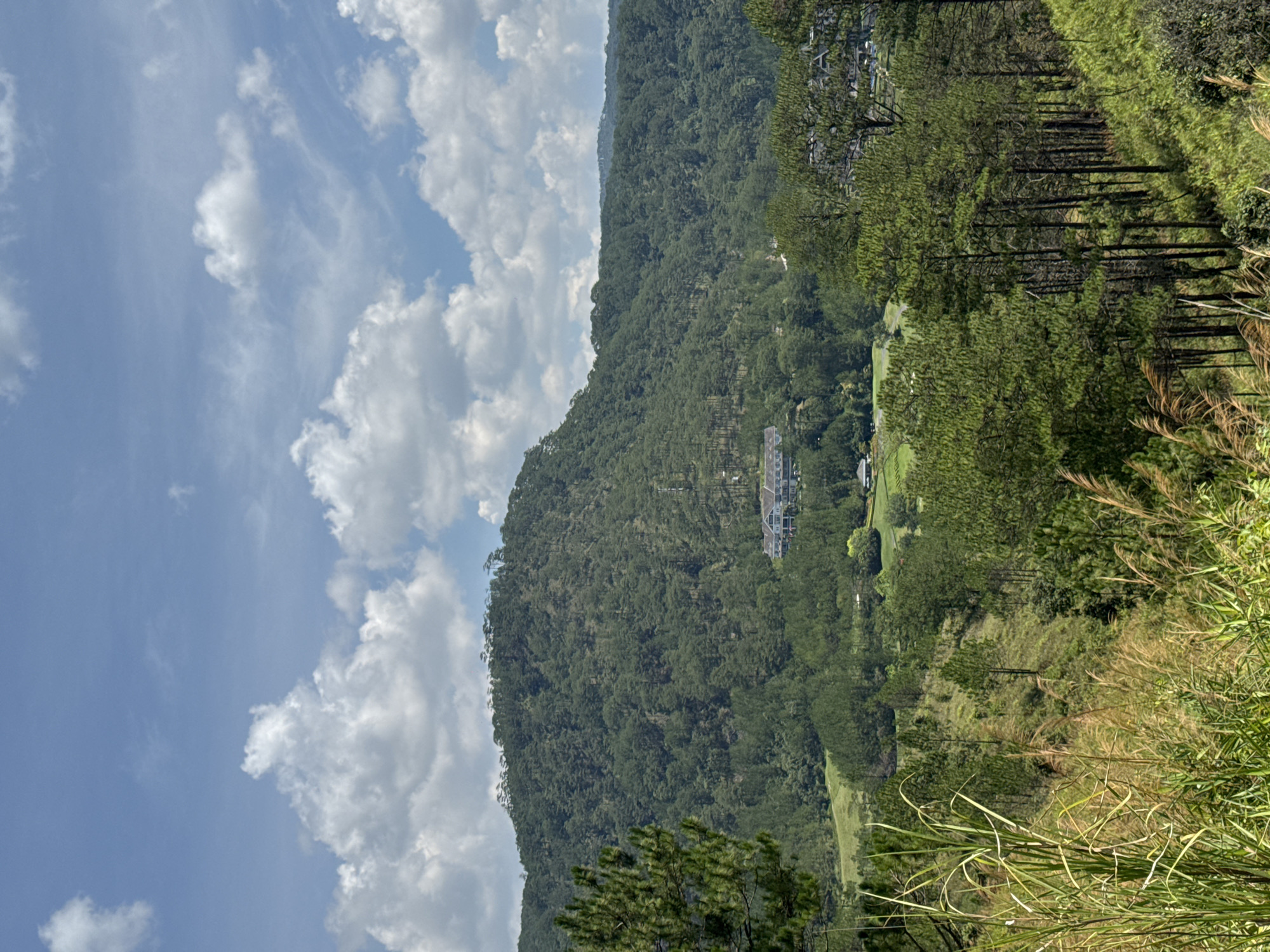 The image presents a landscape scene in Hiep Thanh, Vietnam. A densely forested mountain dominates the view, partially obscured by white clouds in a light blue sky. On the mountainside, a building complex is visible. The foreground consists of trees and tall grasses.