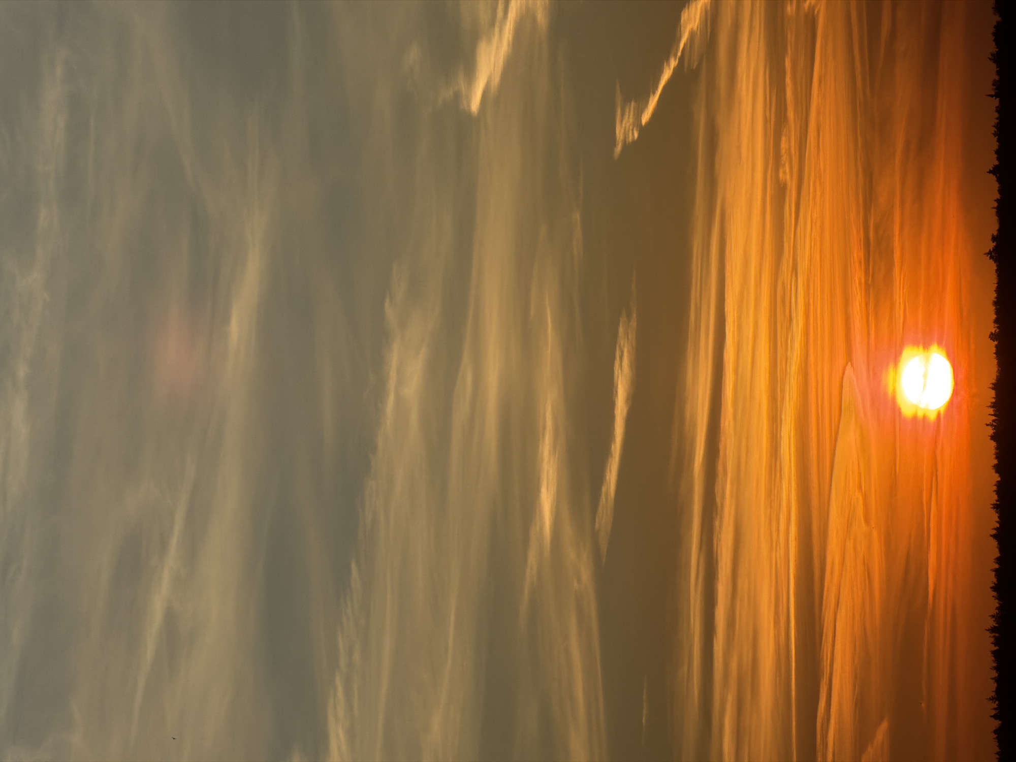 The image displays a vibrant sunset sky, rotated 90 degrees clockwise from its natural orientation. The right side of the frame is dominated by the brilliant, setting sun, appearing as a bright, glowing orange orb, partially veiled by atmospheric haze or thin clouds. Its intense light bathes the adjacent sky in vivid hues of orange and yellow, creating a radiant glow that extends across a significant portion of the frame.
Streaks of elongated, wispy clouds, likely cirrus, are visible across the sky. These clouds are illuminated from the right, appearing bright yellow and orange where they catch the direct sunlight, and fading into softer, muted yellowish-grey tones towards the left side of the image. The cloud formations create a textured pattern of light and shadow, emphasizing the depth of the sky.
The color gradient of the sky transitions from a warm, intense orange on the right, near the sun, to a calmer, more subdued yellowish-grey on the far left. At the very bottom-right edge of the image, a dark, jagged silhouette of trees or distant foliage can be seen, marking the horizon line against the brilliant sunset. A tiny, dark speck, possibly a bird, is visible against the lighter sky in the upper-left quadrant. No people or visible text are present in the image. The overall scene evokes a sense of tranquil beauty at dusk.
