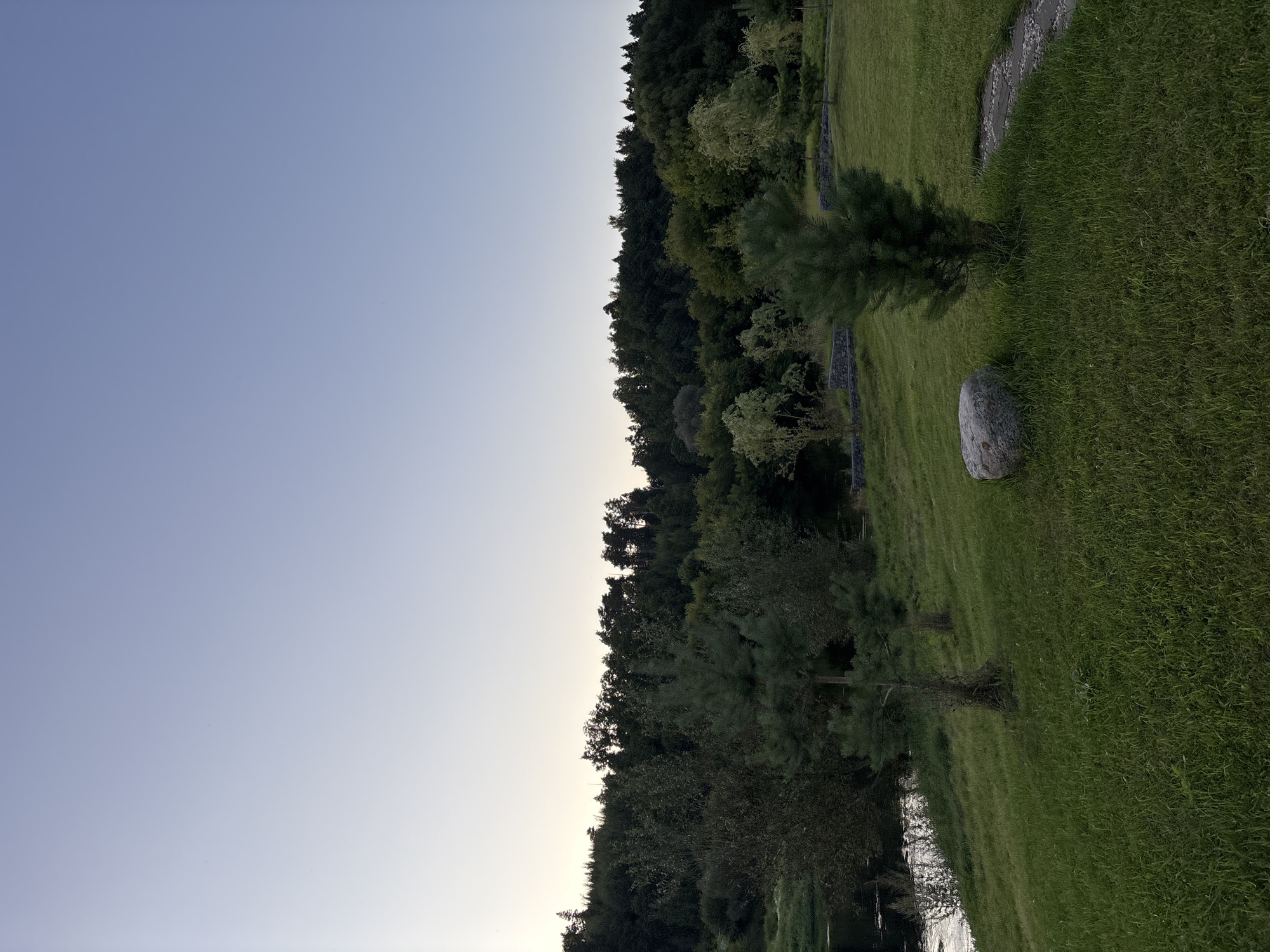 The image depicts a tranquil outdoor scene, likely a park or natural reserve, with a body of water on the left and a dense forest bordering the background. The sky is clear and a pale blue, transitioning to a lighter hue near the horizon, suggesting either early morning or late evening. The foreground is a lush, green lawn dotted with a few young pine trees and a large, grey boulder. A paved pathway, composed of irregular stones, curves into the scene from the right. The water's surface reflects the light from the sky, and vegetation grows along its edge. The forest behind is a rich tapestry of various shades of green, with mature trees forming a thick canopy. There are no people or animals visible in the frame. This scenery is consistent with the natural beauty found in locations like Zvenigorod, Russia, known for its picturesque landscapes and the Moskva River.