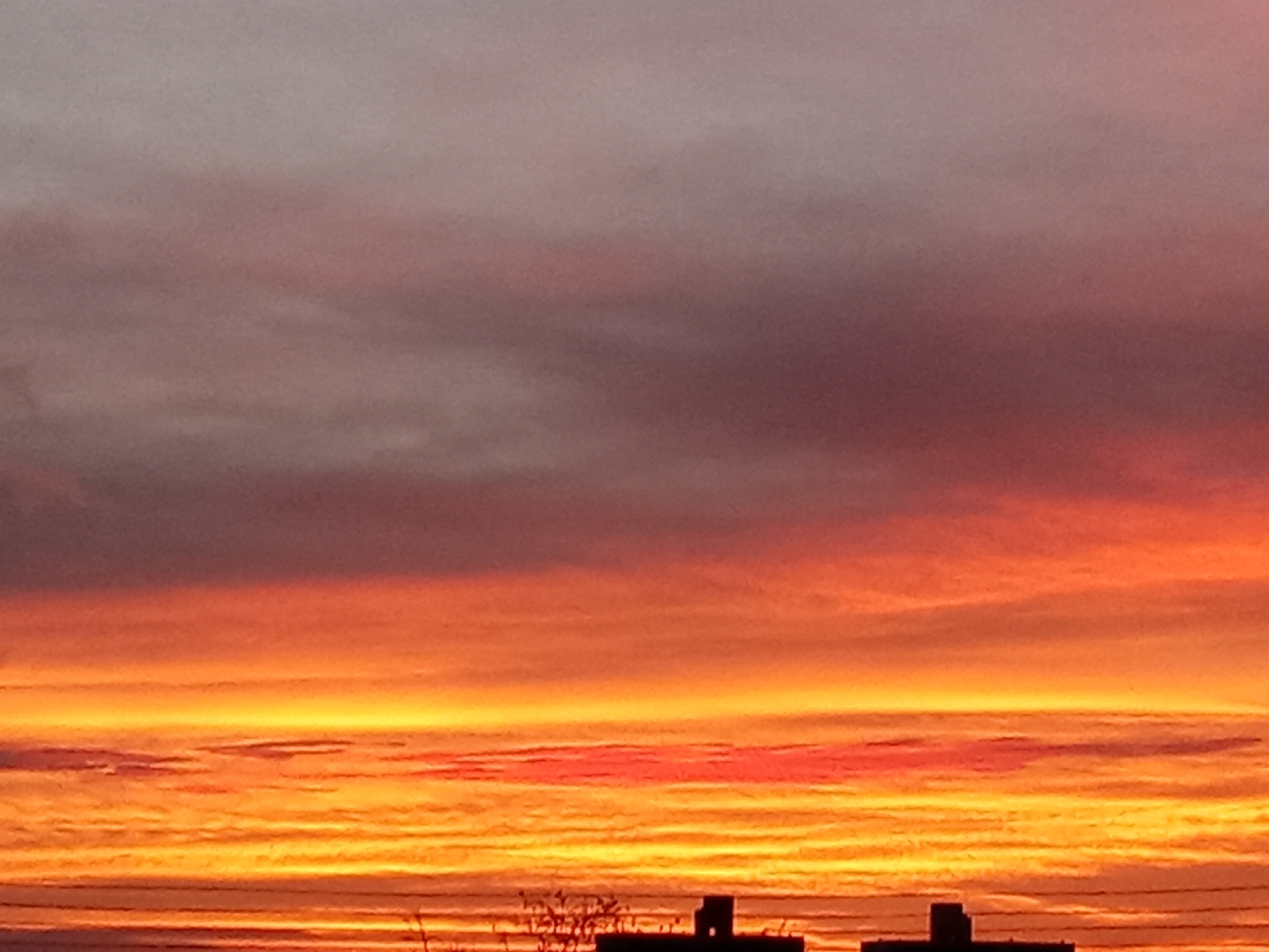 The image presents a vibrant sunset in what could be Juan Griego, Venezuela, though definitive location confirmation is absent. The sky is filled with horizontal bands of color, ranging from dark, muted purples and pinks in the upper portion to intense oranges, yellows, and reds closer to the horizon. At the bottom of the frame, silhouetted against the bright sky, are what appear to be building tops with some sparse foliage or branches visible in the foreground. The general setting suggests a coastal or urban area due to the presence of what seems to be buildings and the dramatic sunset.
