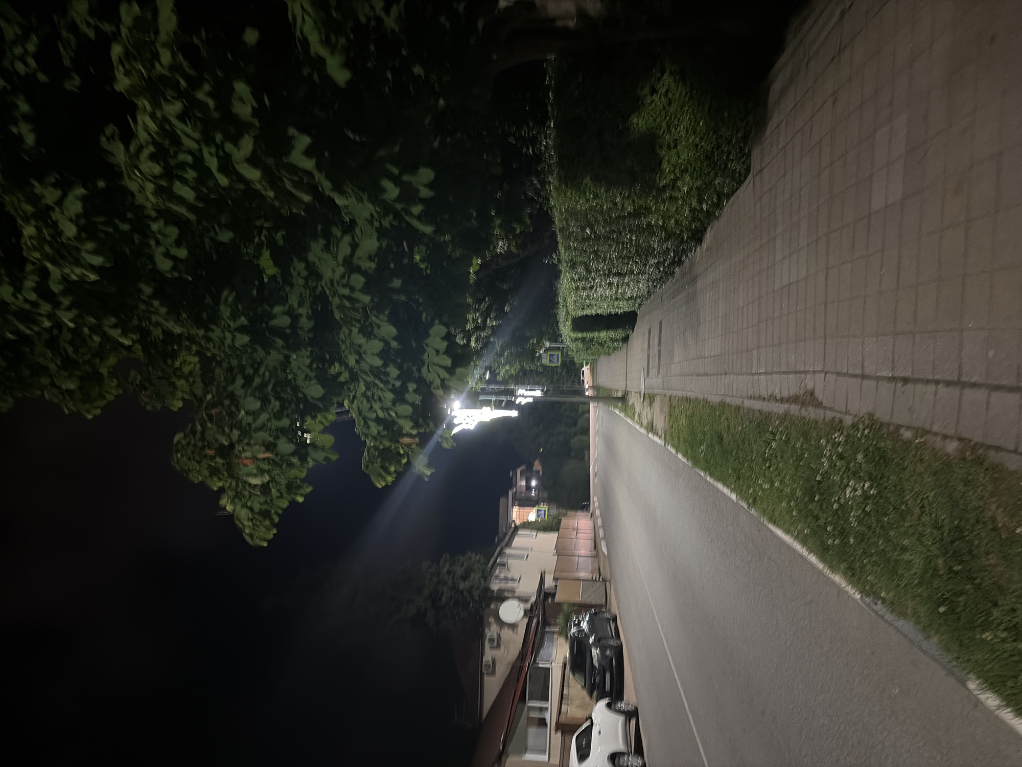 This image depicts a nighttime scene on a street in Sochi, Russia. A paved sidewalk runs along the right side of the frame, bordered by a neatly trimmed hedge and mature trees with dense foliage. Streetlights cast illumination on the sidewalk and a section of the road. The road itself is asphalt and appears to be a two-lane street with a white dividing line. On the left side of the road, parked cars are visible, including a white car and a dark-colored sedan. Adjacent to the road and sidewalk, a grassy strip with scattered white wildflowers is present. In the background, residential buildings with visible windows and rooflines are situated, suggesting a suburban or residential area within the city. The sky is dark, indicative of nighttime.