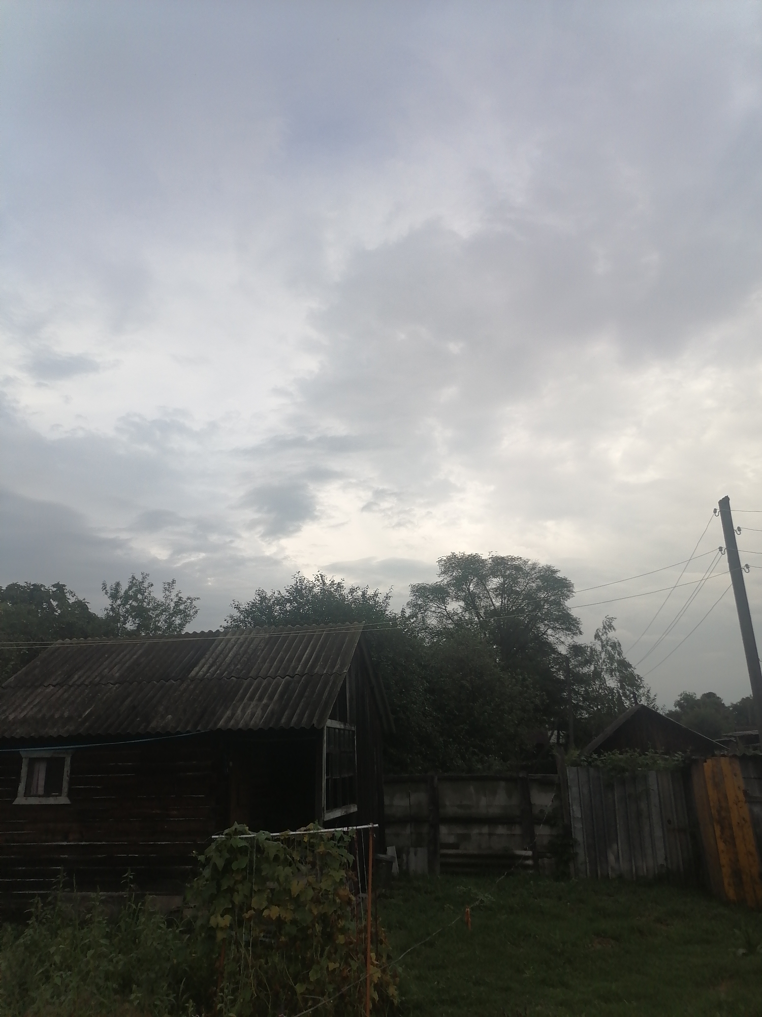 The image depicts a rural scene in Novopokrovka, Russia, under an overcast sky. In the foreground, a weathered, dark wooden structure with a corrugated roof and a small window is visible. In front of this structure, dense green foliage and some hanging vines are present. A simple wooden fence runs across the middle ground, separating the property from an area with more trees and vegetation. To the right, a utility pole with wires is partially visible. The overall atmosphere is somber, with muted colors and diffused light, suggesting a cloudy day.