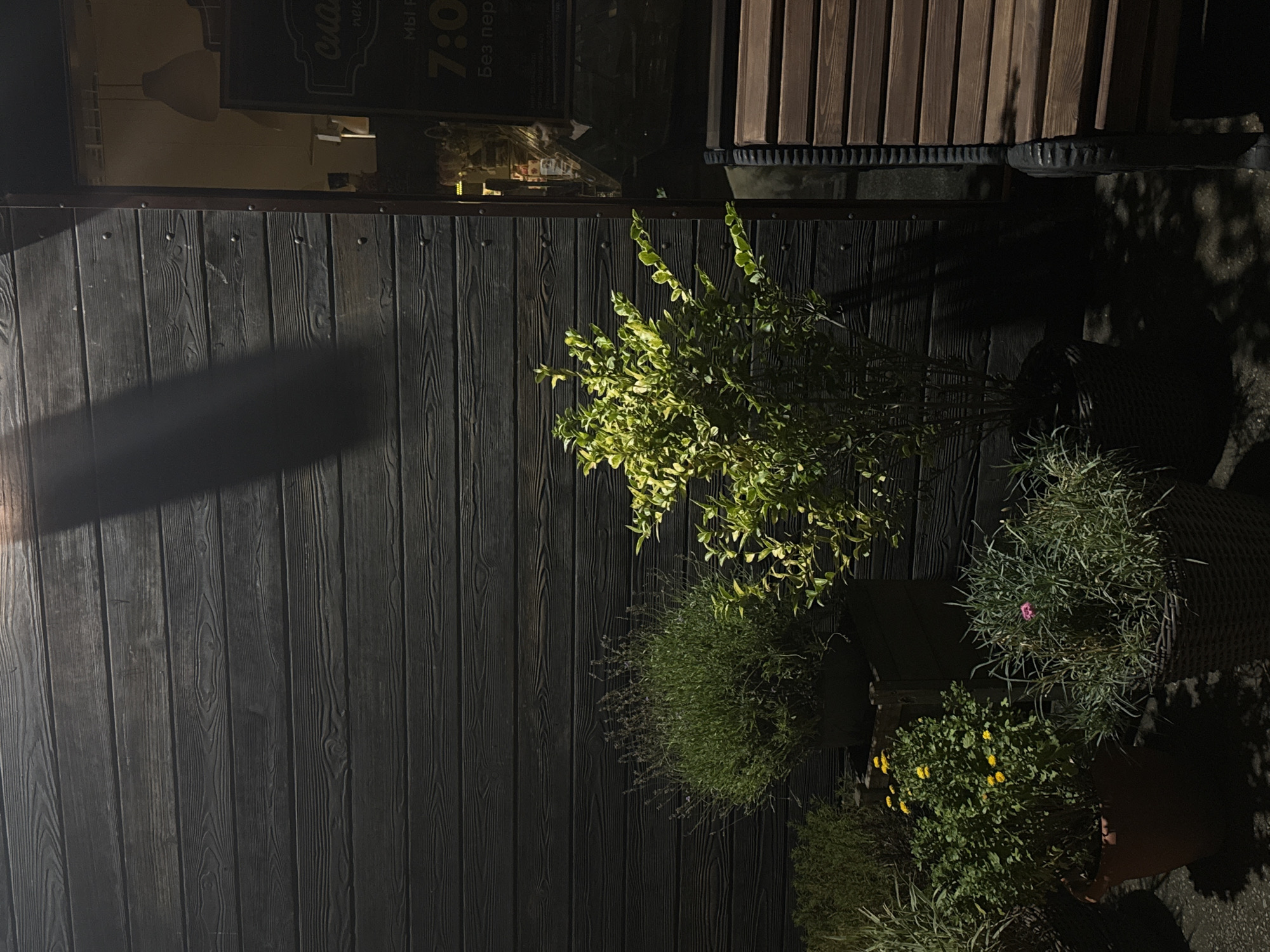 The image depicts an outdoor scene in front of a building with a dark wooden facade. Several potted plants are arranged on the ground, including a large lavender bush, a bush with bright green leaves, a smaller plant with yellow flowers, and a wispy green plant with a single pink flower. To the right, a wooden bench is partially visible. Through a glass entrance to the building, a light fixture and a sign with Russian text, including the number "7:00", are discernible. The scene is dimly lit, suggesting it might be evening or nighttime, with shadows cast by the plants and the building. The overall impression is one of a quiet, perhaps commercial, outdoor space.