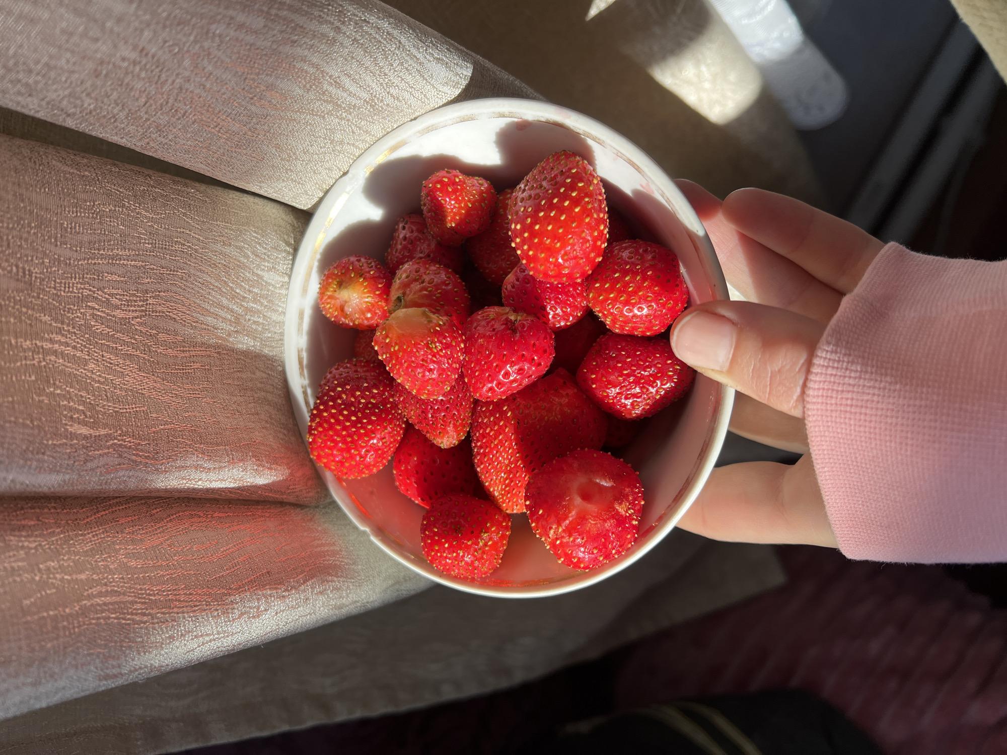 A hand wearing a pink hoodie is holding a white bowl filled with strawberries. The bowl has a decorative gold rim. The strawberries are bright red and appear fresh, with visible seeds. Behind the bowl, a light-colored fabric with a textured pattern is visible, possibly curtains, catching sunlight that casts shadows. The scene appears to be indoors, with sunlight streaming in. No specific location in Pivkino, Russia can be determined from the image.