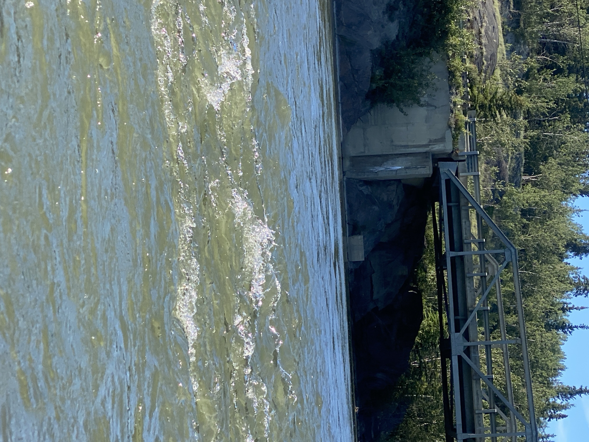 The image shows a river flowing in front of a bridge and a forested hillside. The water in the foreground is choppy with whitecaps and sparkles of light reflecting off the surface. Behind the river, a concrete abutment supports a metal truss bridge, which spans across the water. Trees cover the sloping terrain behind the bridge, with a clear blue sky above. The scene is likely located in Haines Junction, Canada, given the characteristic boreal forest and the bridge structure. There are no people or animals visible in the image. The overall impression is one of a natural landscape with man-made infrastructure.