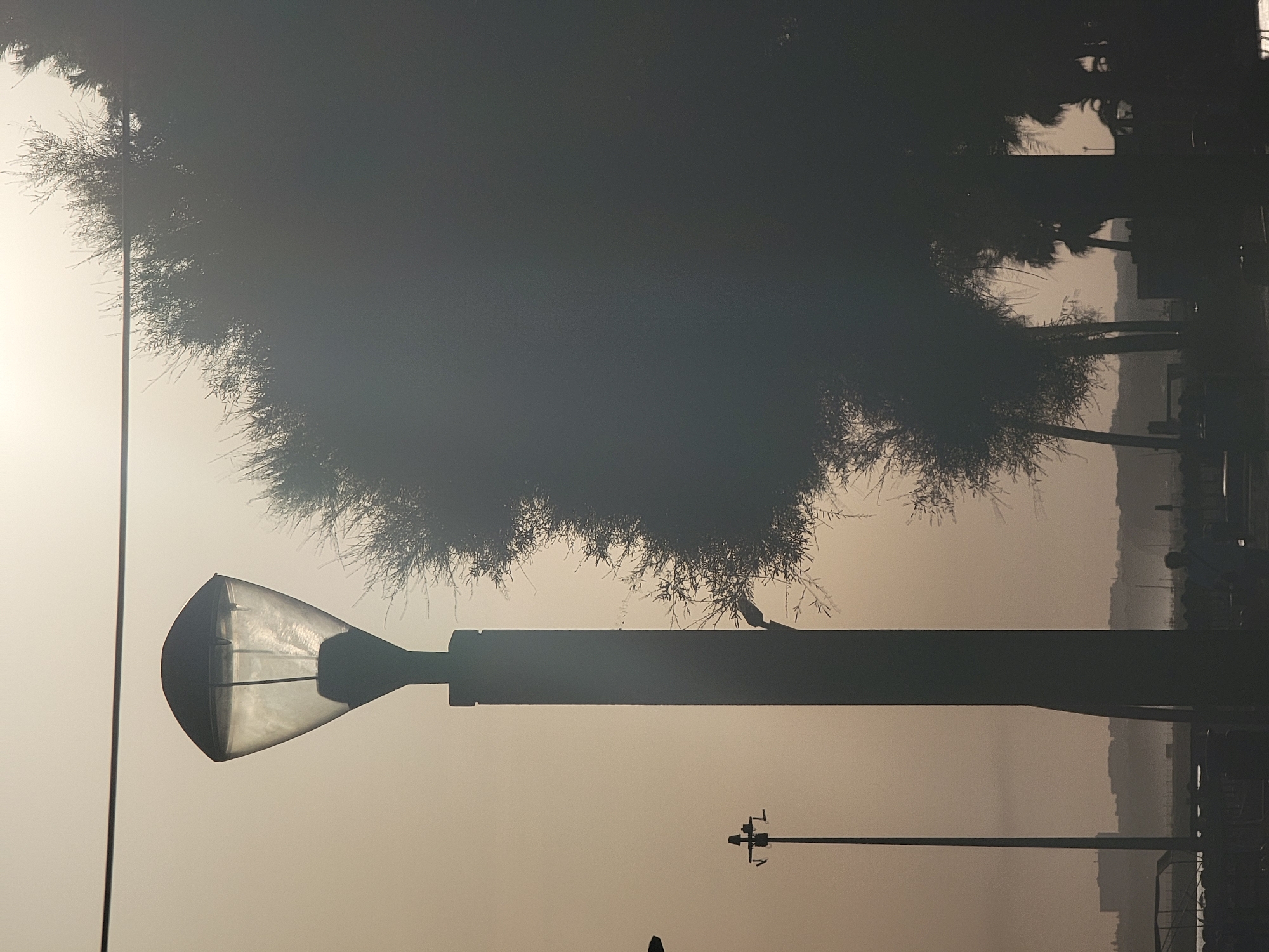 In Quarteira, Portugal, a street lamp with a distinct cone-shaped frosted glass shade stands prominently against a hazy, light-colored sky. To the right, a large, dense tree casts a deep shadow, obscuring much of the background foliage and sky. A thin, dark wire stretches horizontally across the upper portion of the image, likely a power line. In the middle ground, a slender pole with a crossbar and what appears to be an antenna or signaling device is visible. Further in the distance, a silhouetted cityscape with low-rise buildings is discernible, and a single figure, also in silhouette, walks on a path near a body of water. The overall impression is one of a slightly overcast or foggy day, with the sun present but diffused by atmospheric conditions.