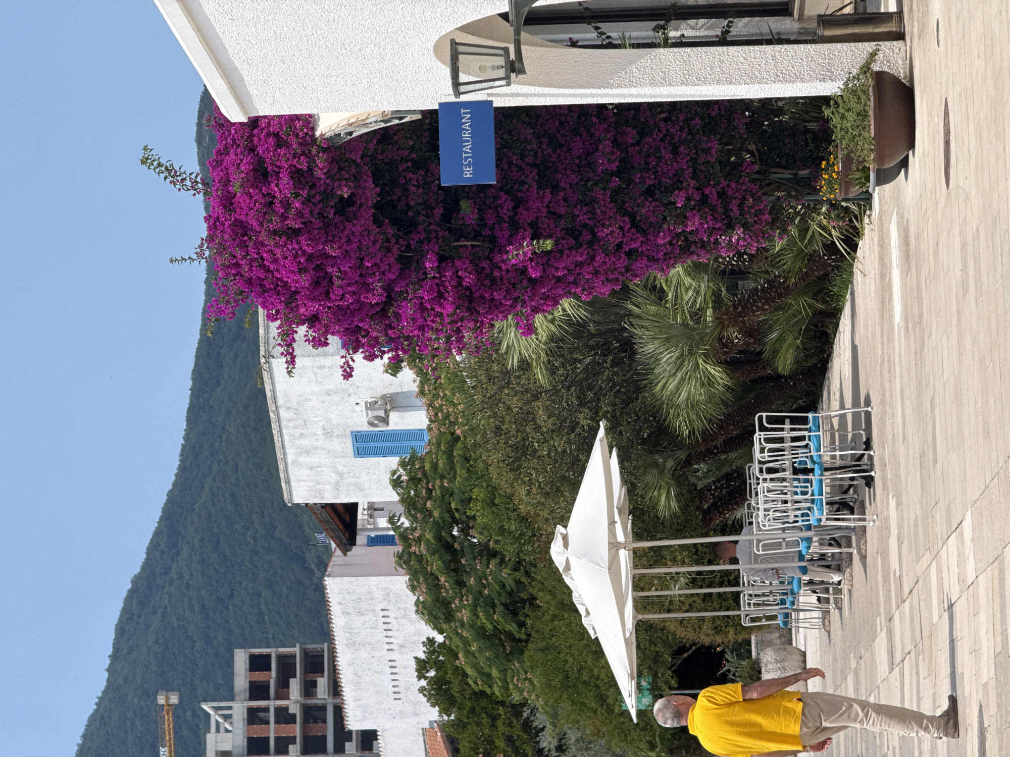 A man in a yellow shirt and tan pants walks away from the camera on a paved walkway. He is walking towards a row of white tables and chairs with blue cushions, some of which are occupied by other individuals. The tables and chairs are shaded by large white umbrellas. To the right of the tables, a vibrant purple bougainvillea bush is in bloom, cascading over a white building. A blue sign with white lettering that reads "RESTAURANT" is mounted on the building next to the bougainvillea. A black lantern is affixed to the building above and to the right of the sign. In the background, there are more white buildings, lush green trees, and a mountain covered in foliage. A construction crane and a partially built building are visible on the left side of the image. The scene appears to be outdoors in a sunny, possibly coastal, location, likely in Boreti, Montenegro, given the architectural style and vegetation.