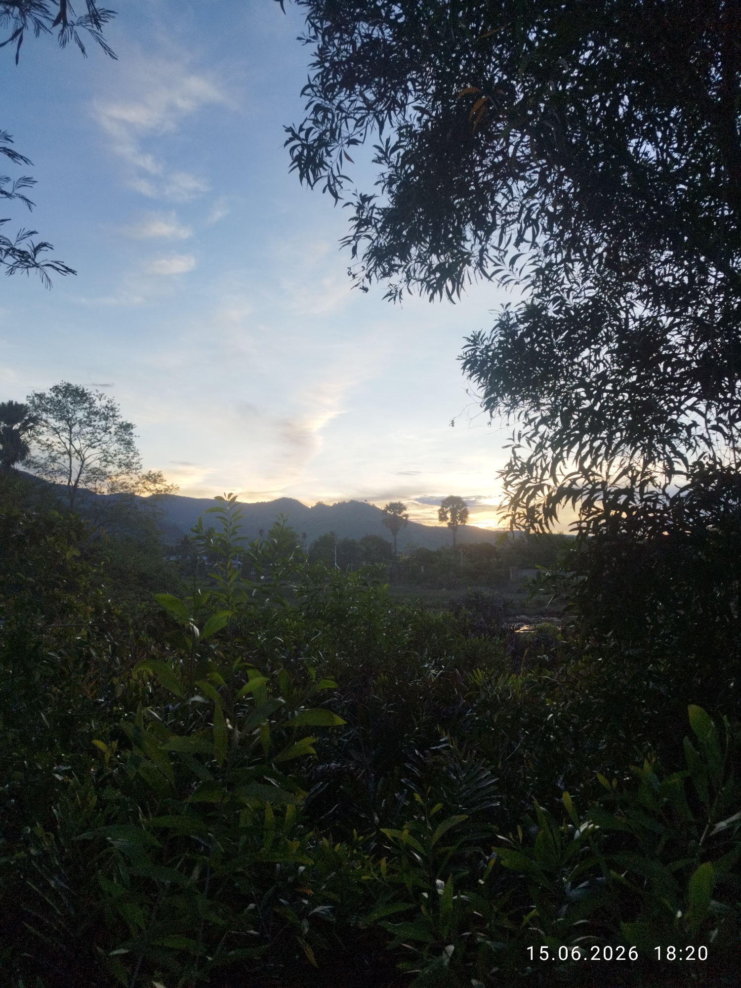 The image captures a serene landscape at dusk, with the sky painted in hues of blue, yellow, and orange, suggesting the sun is either rising or setting. Silhouetted trees frame the scene, with lush green foliage in the foreground. In the distance, rolling hills are visible, partly obscured by mist or low-lying clouds. A few palm trees stand out against the horizon. The overall impression is one of tranquility and natural beauty. The timestamp at the bottom right corner indicates the image was captured on June 15, 2026, at 18:20. The location is identified as Kampot, Cambodia.