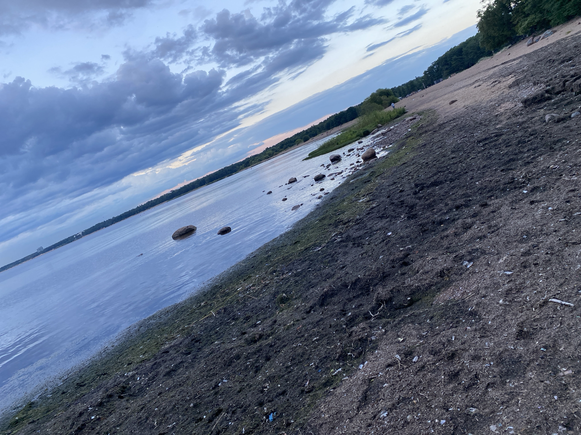 The image depicts a shoreline in Sestroretsk, Russia, characterized by dark, wet sand and scattered debris, including small stones and organic matter. The water's edge is visible, with calm water extending to the horizon. A line of trees borders the opposite bank of the body of water. The sky is filled with dramatic, cloudy formations, suggesting either early morning or late evening light. The perspective is low-angle, looking across the water from the shore. No people or specific structures are prominently featured in the foreground, though a few distant figures can be observed on the sandy area of the opposite bank.