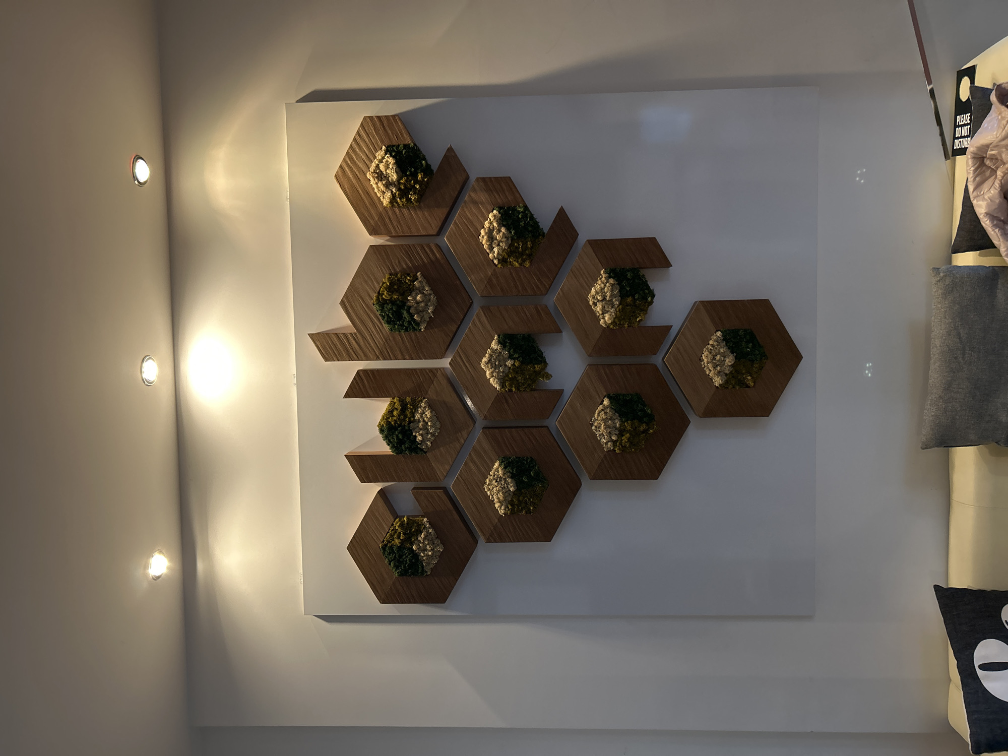 A medium shot shows a framed hexagonal display on a wall, with brown hexagonal containers inside, each holding a cluster of green and white foliage. The frame is mounted on a white board. To the left, a wall with three recessed lights is visible. To the right, a stack of fabric items and a throw pillow are partially visible. The location is inferred to be Sofia, Bulgaria.