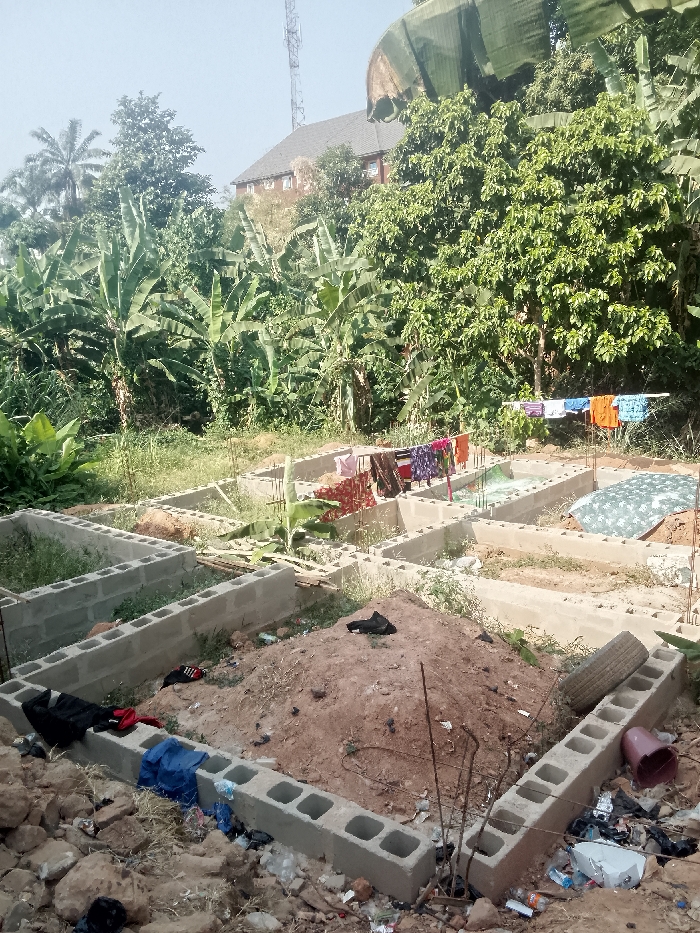 The image captures an active construction site within a lush, tropical environment, specifically identified as Akpaka Forest Reserve, Nigeria. In the foreground, freshly laid building foundations constructed from hollow concrete blocks mark out the footprint of a future structure. Piles of reddish-brown earth are scattered within these foundations and around the site, indicating recent excavation. Rebar protrudes from some foundation points. Scattered debris, including pieces of rock, plastic waste, a discarded tire, and a pink bucket, litter the ground around the concrete blocks.
Despite the construction activity, a domestic scene unfolds concurrently: several lines of colorful laundry, including shirts, trousers, and patterned fabrics, are strung up to dry across the middle section of the construction area. The clothes are hung between wooden poles or rebar.
The background is dominated by dense, vibrant green foliage, including numerous large banana trees with their characteristic broad leaves, and other leafy trees. Partially obscured by the trees in the distance, a multi-story building with a dark-tiled roof is visible, along with a tall metallic cellular tower, suggesting the proximity of established infrastructure beyond the immediate reserve.
The scene is bathed in bright daylight, indicating a clear, sunny day. No people are visible. No explicit text is discernible in the image. The overall impression is one of development taking place amidst a natural, somewhat untamed setting, with everyday life continuing alongside construction.