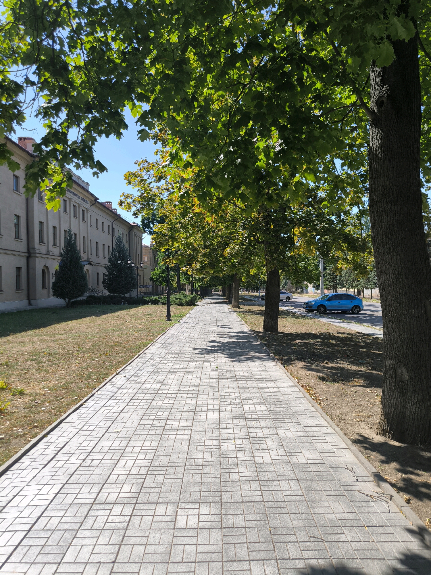 The image depicts a sunny daytime scene along a tree-lined sidewalk in Mykolaiv, Ukraine. A wide, light-colored paved sidewalk runs diagonally from the foreground into the distance. To the left of the sidewalk is a grassy area with dry patches, leading to a multi-story building with light-colored walls and numerous windows. Several evergreen trees and bushes are situated between the grass and the building. Beyond the grass, a lamppost is visible.
To the right of the sidewalk, a row of mature trees with lush green foliage casts dappled shadows on the ground. In the background, a road runs parallel to the sidewalk, with a blue car and a white car driving on it. Further down the road, more trees and buildings are visible under a clear blue sky. The overall impression is of a well-maintained urban environment with a blend of natural and architectural elements.