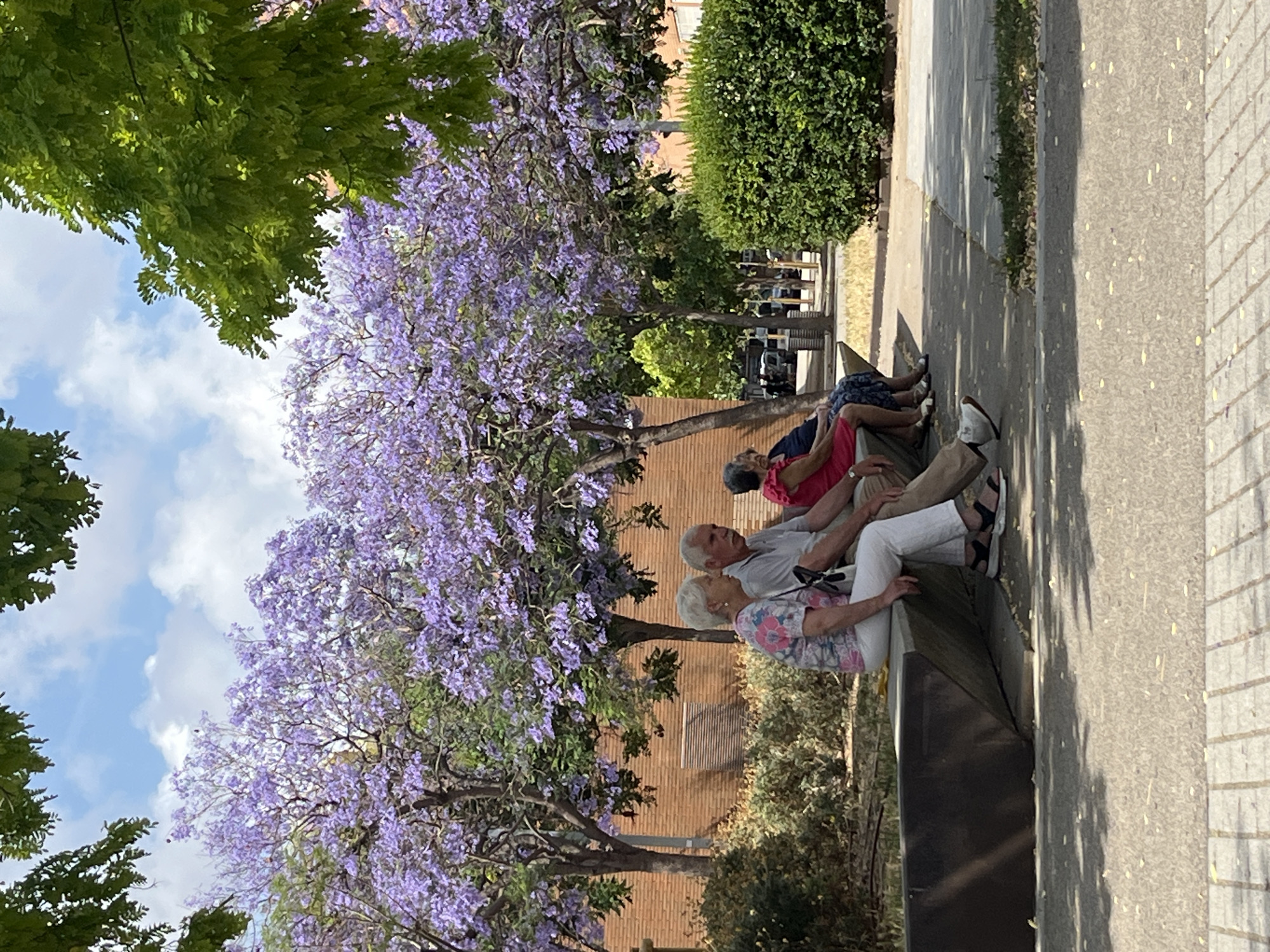 The image shows three individuals sitting on a park bench in what appears to be Sant Boi De Llobregat, Spain, based on the Jacaranda trees in bloom, a common sight in the city. The bench is situated on a paved area next to a walkway. The foreground is dominated by the Jacaranda trees with their distinctive purple flowers. A section of blue sky with scattered clouds is visible through the tree branches. A brick building and other greenery can be seen in the background.
The people on the bench appear to be elderly. From left to right, the first person is wearing a light-colored patterned top. Next to them is an individual in a light gray shirt and khaki pants, and farther on the right, a third individual is wearing a pink shirt. They appear to be relaxing and enjoying the scenery.
