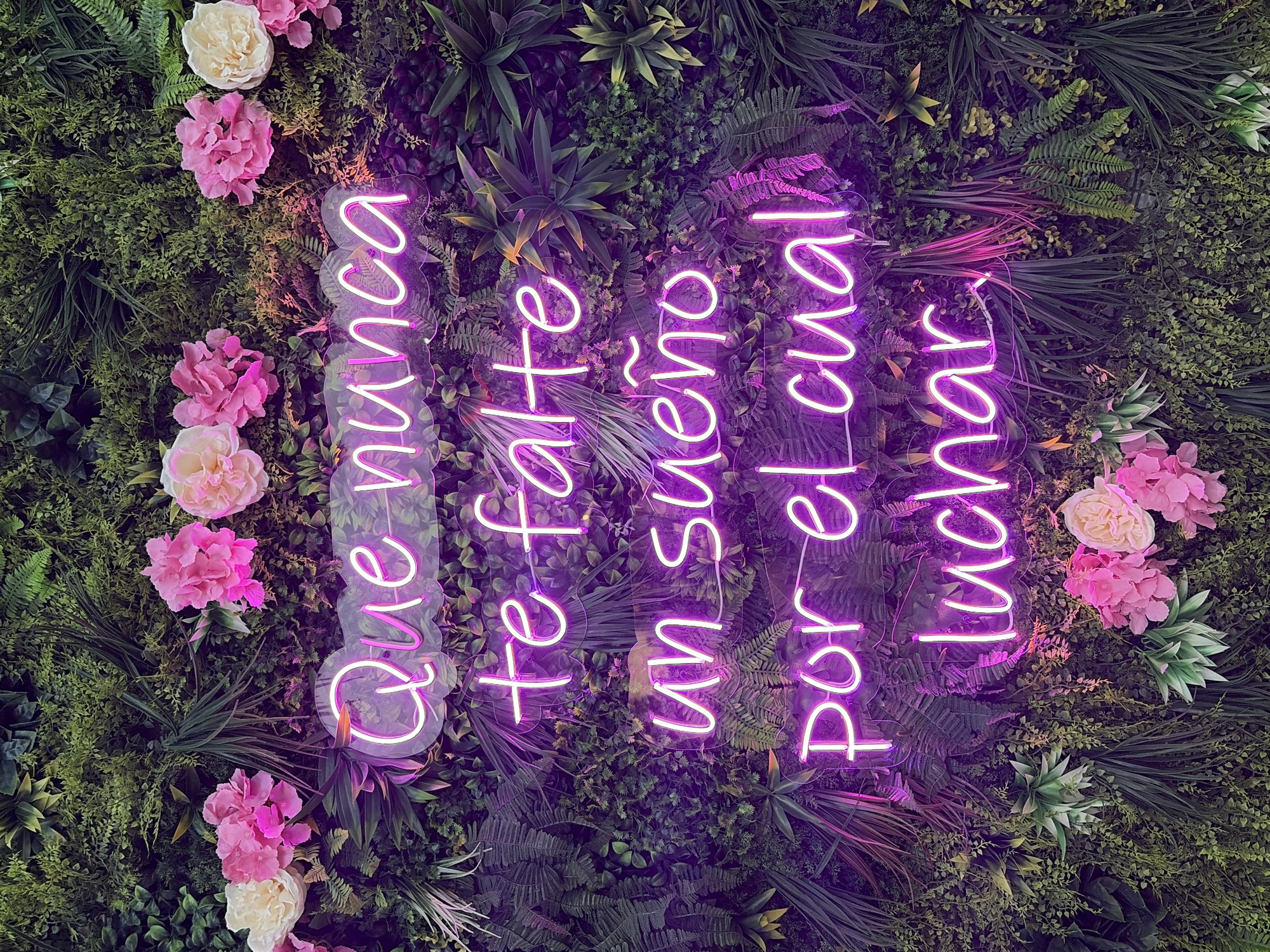 A close-up, medium-shot depicts an artificial green wall decorated with flowers and a neon sign in an indoor setting. The wall is densely covered with various types of faux greenery, including ferns, grasses, and broadleaf plants. Pink and white flowers are interspersed among the plants, clustered around the edges and corners of the frame. Dominating the center of the frame is a neon sign with pink glowing letters that read "Que nunca te falte un sueño por el cual luchar," which translates to "Never lack a dream to fight for." The lighting is focused on the sign, casting a bright glow and slight reflections on the surrounding foliage. The image appears to have been taken at eye-level, providing a clear, direct view of the decorative wall feature. There is no indication of the location in the city of Ciudad Guayana, Venezuela, or information about people, subjects, objects, actions, or interactions.