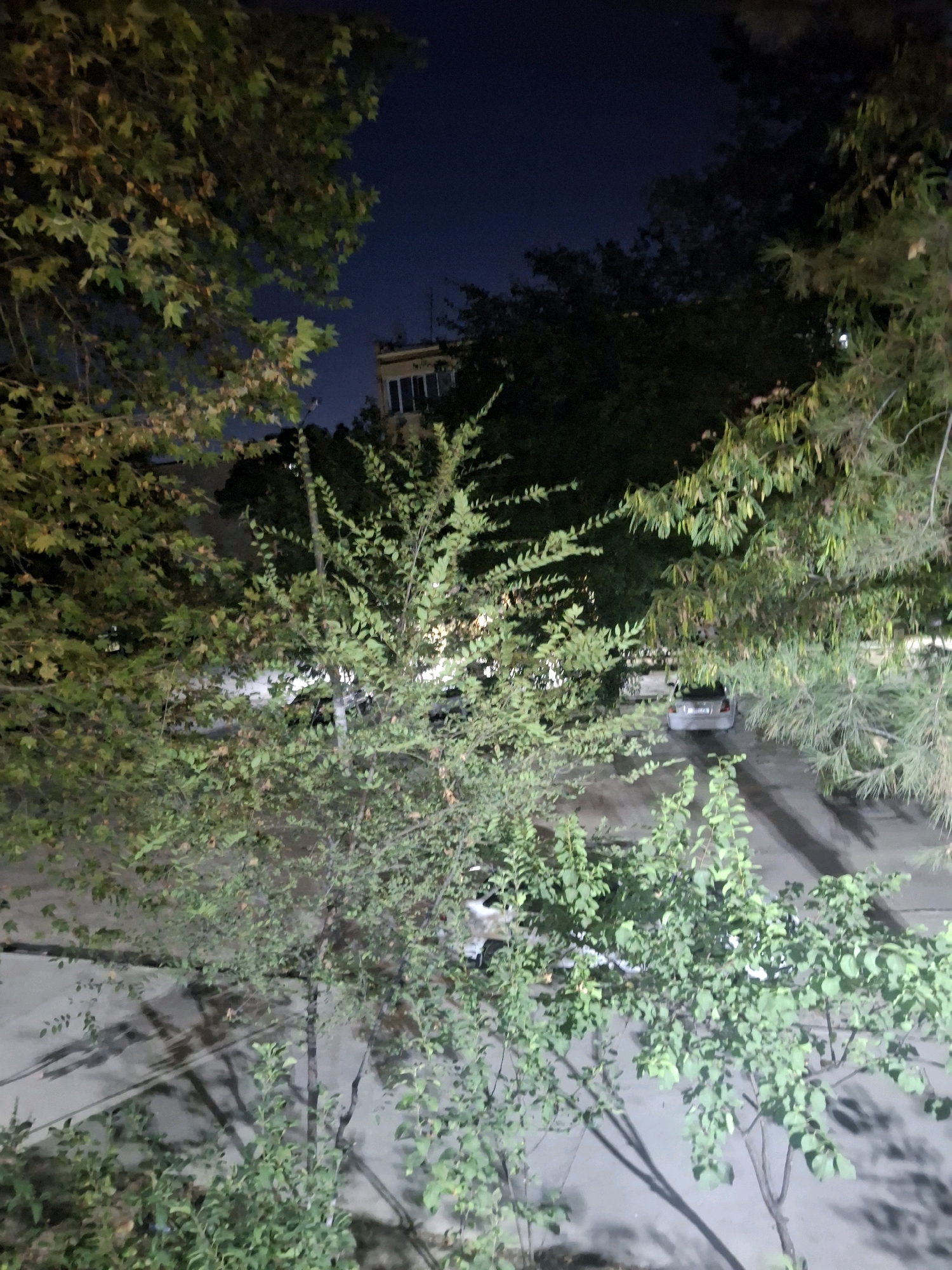 A night time exterior shot of a street in Samarkand, Uzbekistan shows a parked silver sedan. The car is facing away from the camera on a paved surface that appears to be a driveway or parking area. Trees with green and brown leaves overhang the area from the left and right sides of the frame. In the background, a building with multiple windows is visible against a dark blue night sky. The scene is illuminated by artificial light, casting shadows from the trees onto the paved surface.