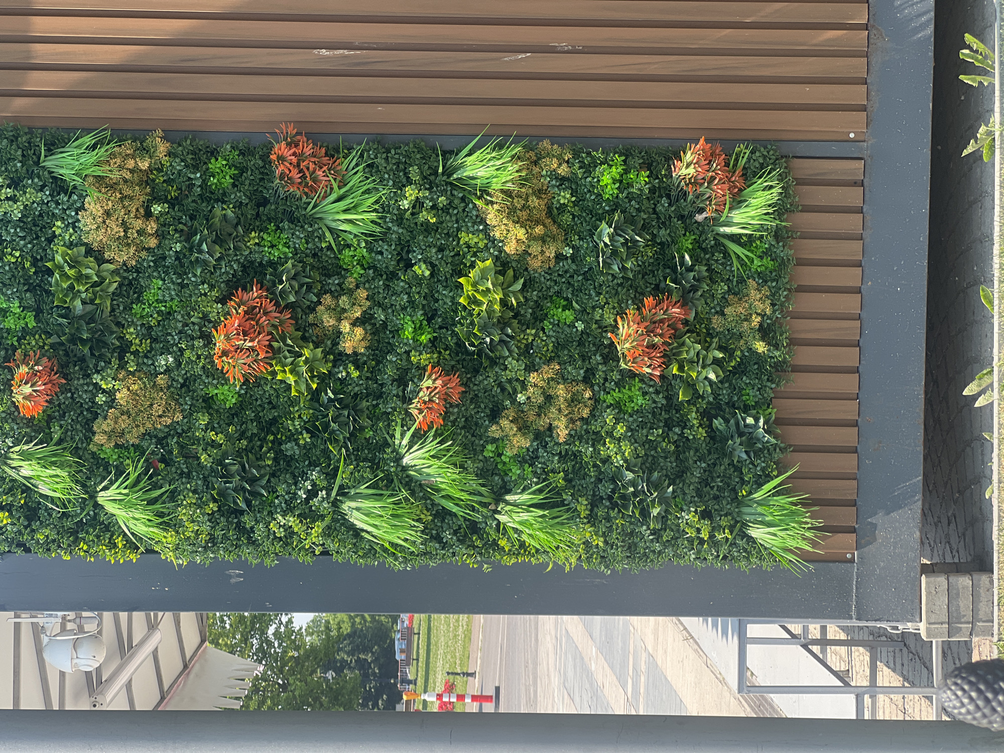 A vertical, artificial plant wall covers the majority of the frame, featuring various shades of green foliage interspersed with clusters of bright orange-red flowers and yellowish-brown sprigs. The plant wall is mounted against a dark grey panel, which is itself set against a background of horizontal brown wooden slats. The overall scene appears to be an outdoor setting, possibly a building exterior or a decorative garden feature. Below the plant wall, a polished, reflective surface mirrors the scene above, showing trees and the sky, as well as a paved walkway with red and white bollards. The lighting suggests it is daytime, likely a sunny day given the bright reflections and shadows. No people are visible in the image. The scene is calm and decorative.