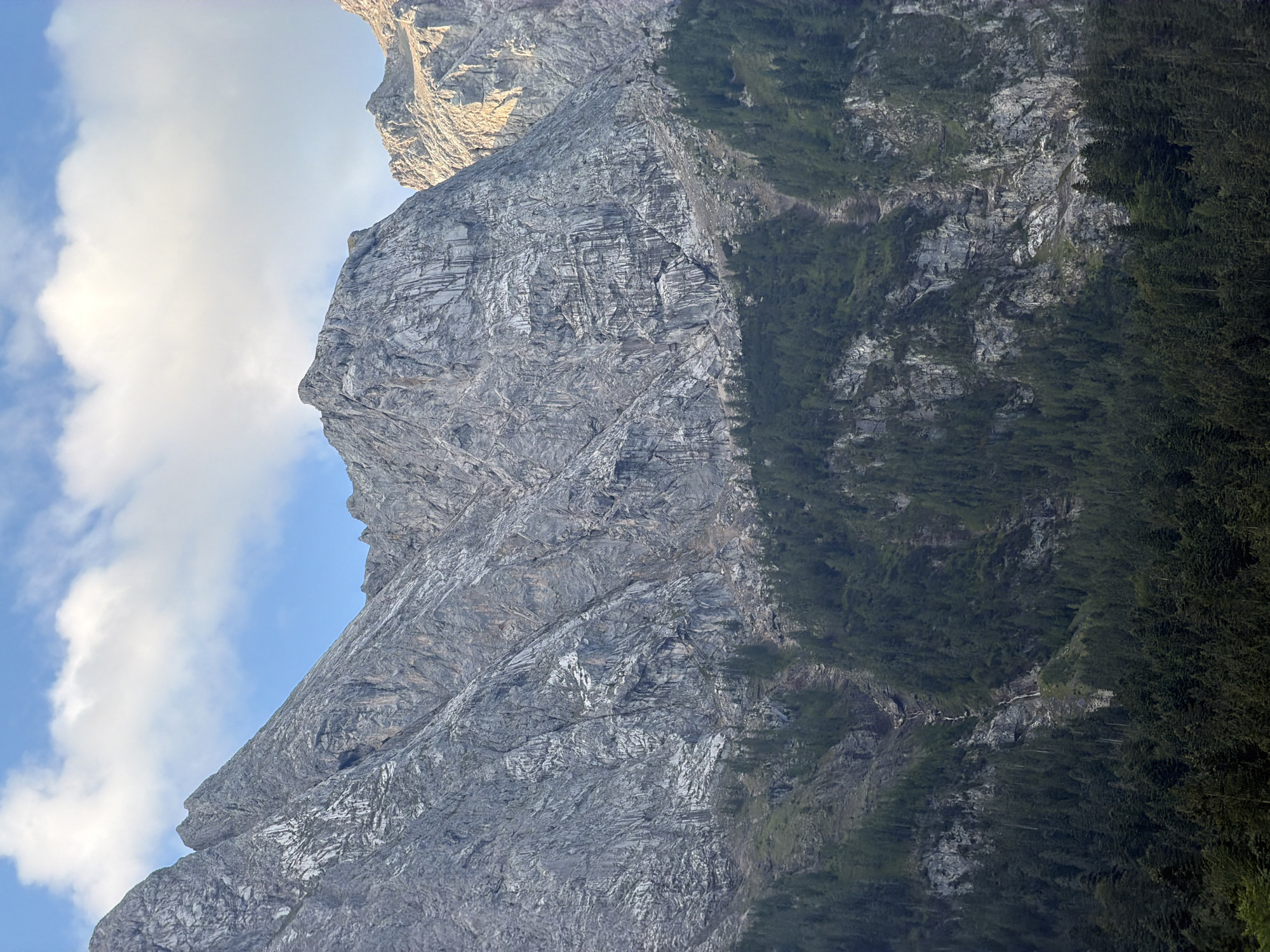 The image shows a view of the Zugspitze massif in Grainau, Germany. The lower part of the image is dominated by a dense, dark green coniferous forest. Above the forest, the rocky slopes of the mountains rise dramatically. These slopes are characterized by their rugged texture, with visible rock formations, crevices, and patches of scree. A thin waterfall or stream is visible cascading down a section of the rocky face. The upper reaches of the mountains are bathed in sunlight, highlighting the stark, grey rock faces and creating shadows in the deep fissures. The sky above is a clear blue, with a few white clouds drifting by.