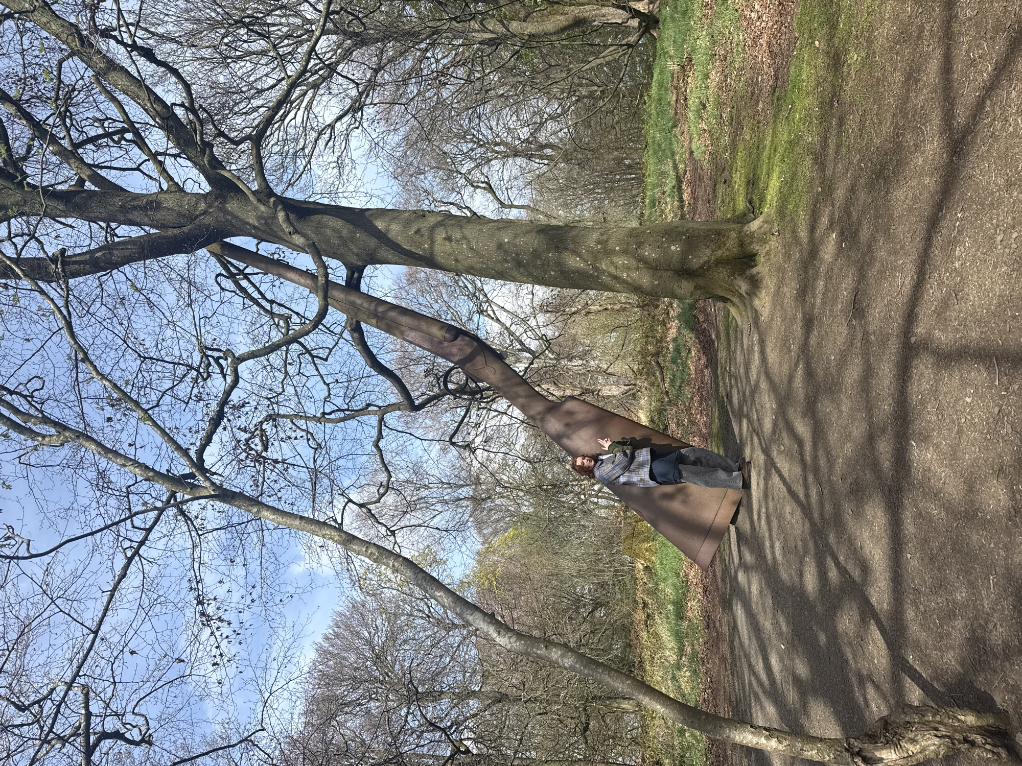 The image displays an outdoor scene, likely a park or a wooded area, under a bright, sunny sky. A man is lying on his back on a long, dark brown structure that resembles a bench or a substantial fallen log, positioned diagonally across the frame. He is dressed in a plaid jacket, a grey shirt, and dark trousers, with his left arm bent and hand near his head, and his right arm resting across his body. He appears relaxed, perhaps resting or posing.
The setting is dominated by numerous tall deciduous trees, whose bare branches create an intricate network against a clear blue sky with sparse clouds. The absence of leaves on most trees suggests late winter or early spring, though some patches of light green grass are visible along the ground. A wide, unpaved dirt path winds through the scene, showing distinct shadows cast by the trees and the man, indicating bright sunlight. The ground is covered with dirt, small stones, and scattered dry leaves. The overall atmosphere is tranquil and natural. No visible text is present in the image.