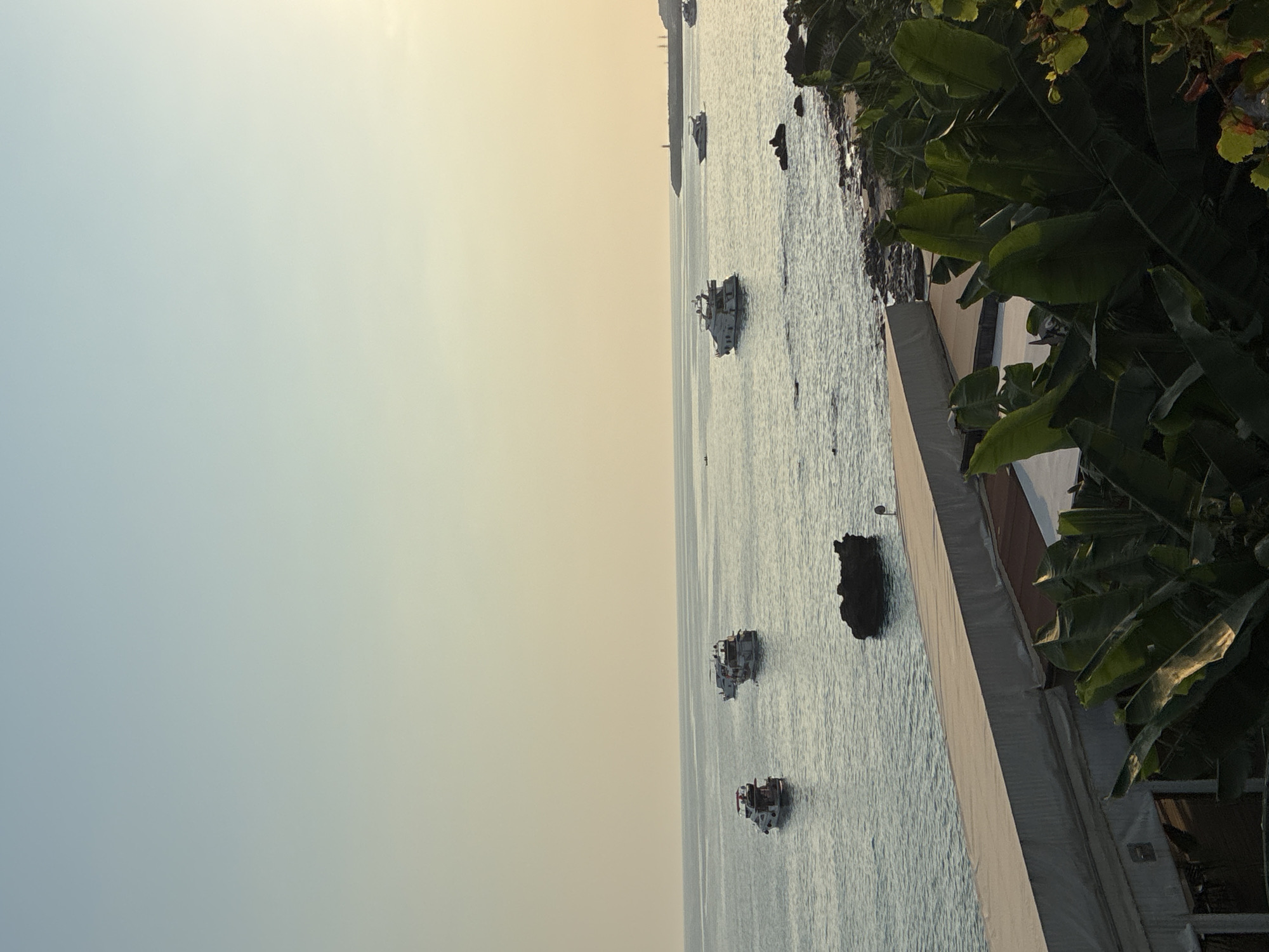 The image depicts a coastal scene at sunset, likely in Alanya, Turkey, overlooking the Mediterranean Sea. Several yachts are visible on the water. In the foreground, lush green foliage, possibly banana leaves, frames the lower portion of the image. A white structure, possibly a building or promenade, runs along the edge of the water. The sea is calm, reflecting the soft, warm light of the setting sun, which casts a pale yellow and blue gradient across the sky. A dark rock formation is situated in the water near the shore. The overall impression is one of tranquility and natural beauty.