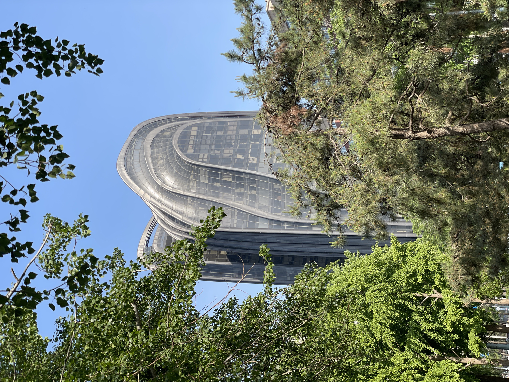 The image captures a low-angle view of a modern, curved-glass building rising above trees, in the Chaoyang District, China. The structure is mostly glass with a metallic framework, curving towards the top. It's surrounded by green foliage, with branches and leaves occupying the foreground. The sky is a clear, light blue. There are no people visible. The scene seems to be taken during the daytime, with ample sunlight. The vegetation varies; some are deciduous trees with rounded leaves, while others appear to be evergreens with needle-like foliage.