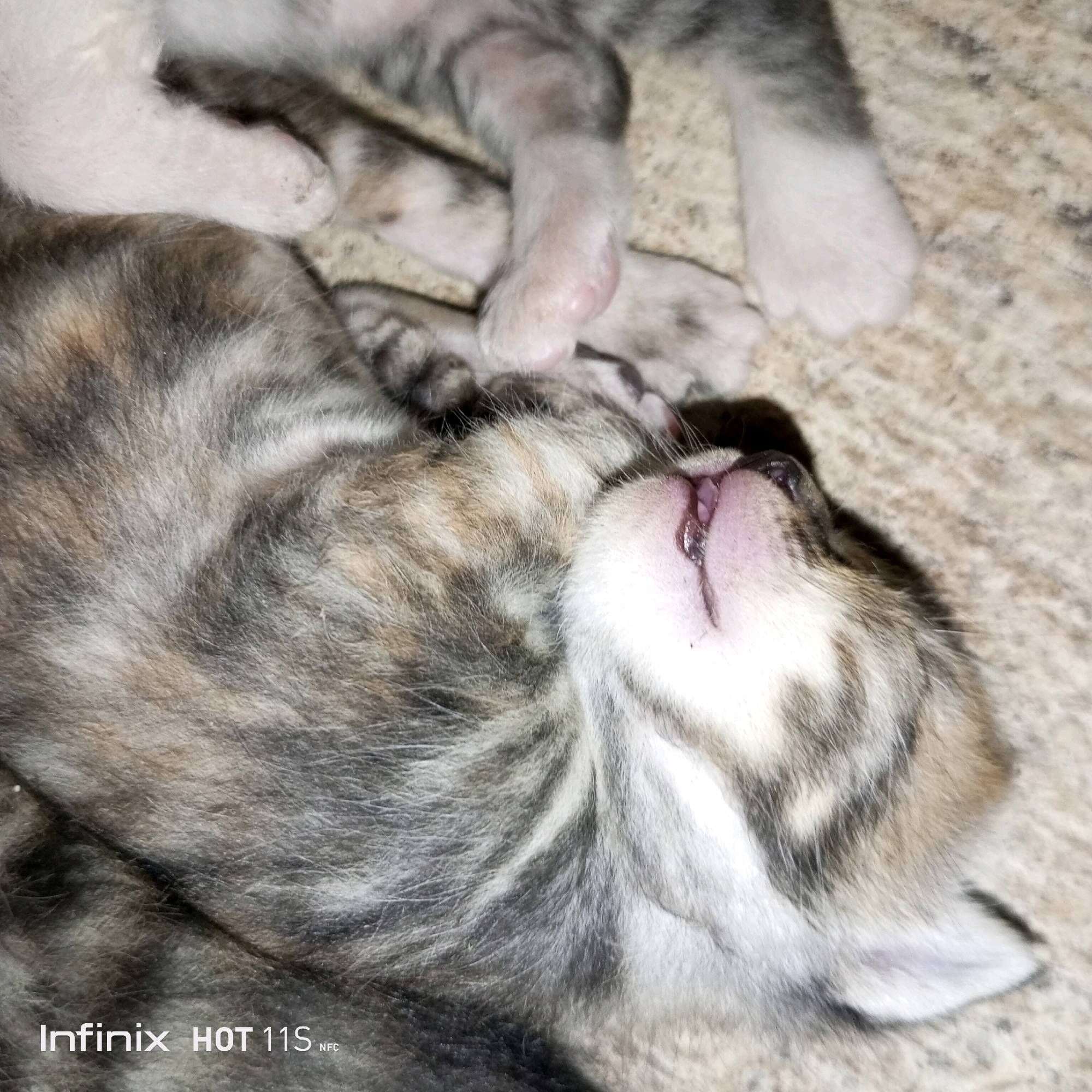 The image shows a close-up of two tabby kittens sleeping on a textured, light-colored surface. The kitten in the foreground is lying on its side, facing to the right, with its mouth slightly open. Its fur is a mix of grey, black, and brown stripes. The kitten behind it is mostly out of focus, but its lighter-colored paws and some of its striped fur are visible. The background surface appears to be a rug or carpet. There is a watermark in the bottom left corner that reads "Infinix HOT 11S NFC." The image does not contain any information about the location in the city of Sukaslamet, Indonesia.
