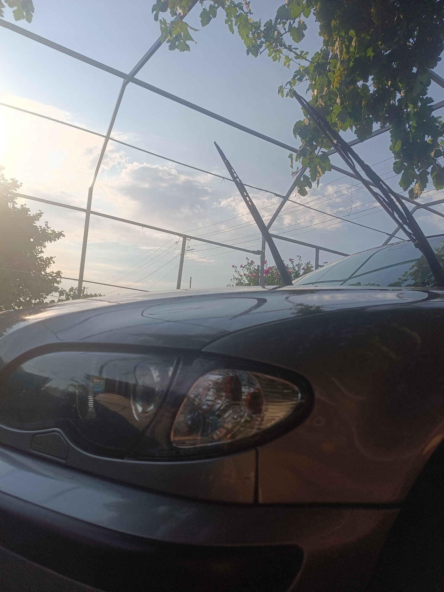 The image depicts a close-up, low-angle view of the front of a dark-colored car, likely parked outdoors. The car's headlight is visible on the left side of the frame, with the hood and windshield occupying the majority of the foreground. Behind the car, a metal structure, possibly a pergola or carport, supports leafy branches of a vine, suggesting a garden or outdoor living space. The sky above is partly cloudy with bright sunlight, indicating daytime. In the background, telephone wires and poles are visible, suggesting an urban or suburban setting. The scene is located in Vypasne, Ukraine. There are no people or explicit actions visible in the image.