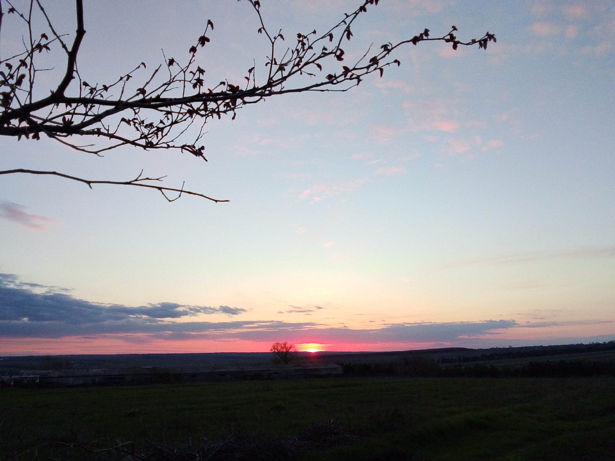 The image presents a serene rural landscape at sunset, located in Khlevnoye, Russia. The scene is dominated by a dramatic sky, transitioning from a soft, pale blue at the top, through gentle pink and orange hues, to a vibrant, intense red and orange glow along the horizon where the sun is setting. Scattered wispy clouds, some catching the warm light and others appearing darker gray, are visible across the sky.
In the upper left portion of the frame, the bare, dark branches of a tree, dotted with small buds or early leaves, are silhouetted against the colorful sky, creating a natural frame for the view. Below the horizon, the foreground and midground consist of a dark, expansive field or pastureland, mostly obscured by deepening twilight shadows, though patches of dark green grass are discernible. A solitary, bare tree stands as a prominent silhouette on the distant horizon, directly in front of the brilliant setting sun. Faint, dark outlines of what appear to be distant structures or rolling hills are visible below the horizon line.
The time of day is clearly evening, specifically sunset, marked by the low position of the sun and the rich, warm colors it casts upon the clouds and sky. The overall atmosphere is tranquil and peaceful. There is no visible text in the image.