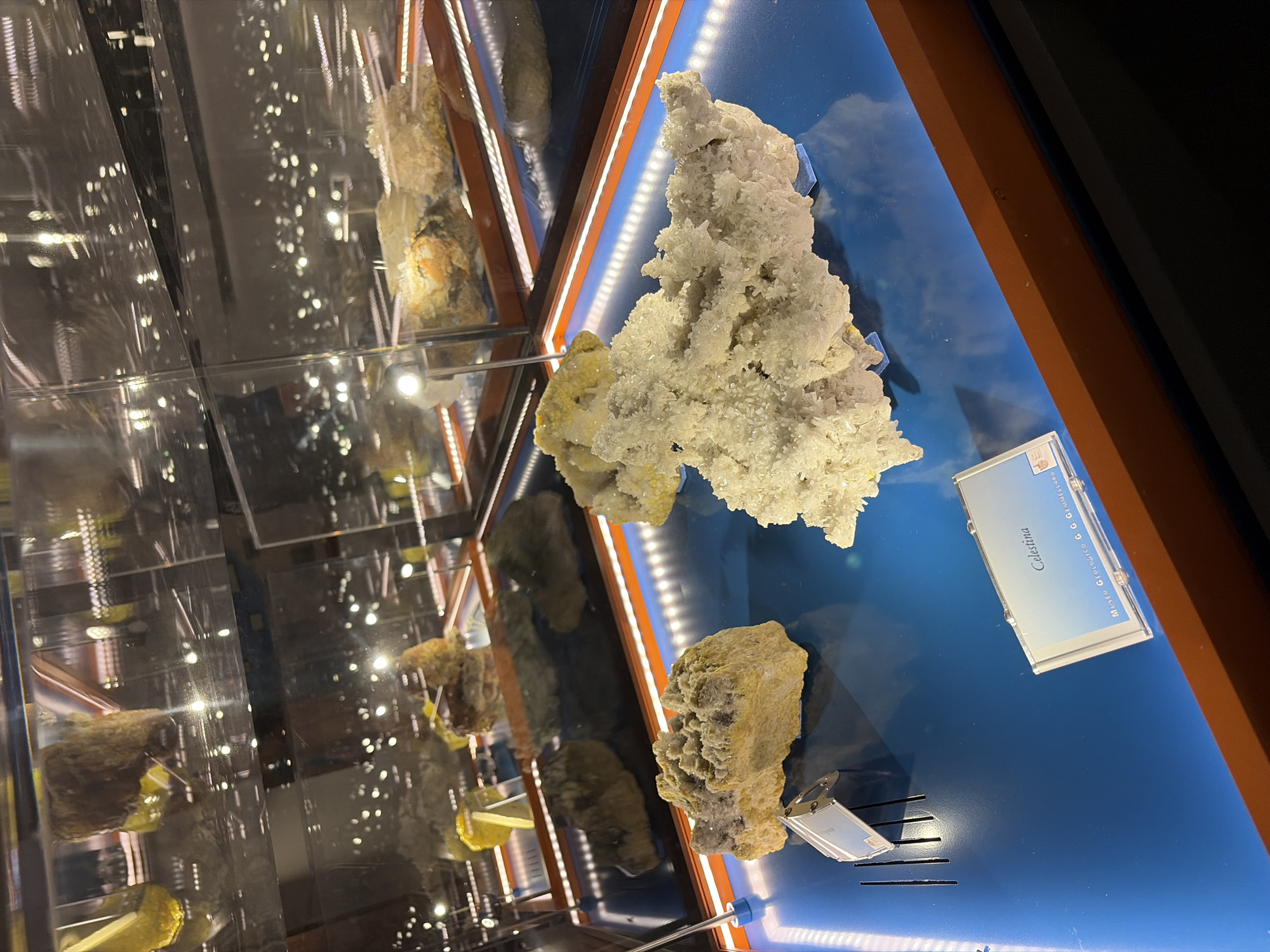 The image shows a display of mineral specimens within a museum exhibit. The primary focus is on two large, crystalline mineral formations on a vibrant blue surface. The specimen in the foreground to the right is a cluster of white, translucent crystals that appear to be celestite, indicated by a label that reads "Celestina" and "Museo Geologico G. G. GEMMELLARO." To the left of this is a smaller, yellowish-brown rock with crystalline structures. In the background, more mineral specimens are visible in glass display cases, with reflections of lights and other exhibits on the glass surfaces. The exhibit lighting appears to be bright and modern, with LED strips along the edges of the display. The museum is identified as the Museo Geologico G. G. Gemmellaro in Palermo, Italy. There are no people visible in the image. The overall environment suggests a well-maintained museum setting dedicated to geological displays.