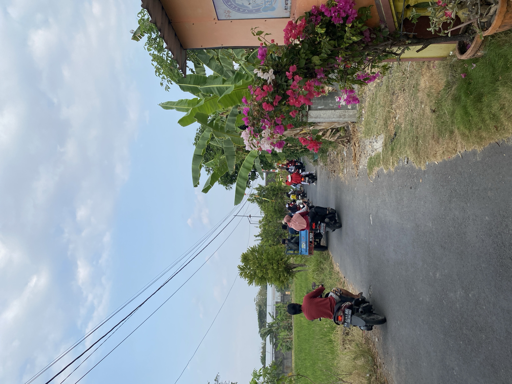 This is a photograph of a road in Wonosari, Indonesia. A group of people are riding motorcycles on the road. The motorcycles are going in the same direction. There is a truck in front of the motorcycles. There are trees and plants on the side of the road. The sky is blue with some clouds. The road is paved. The motorcycles are of various colors and models. Some of the people are wearing helmets. The truck is blue and has a trailer. The trees are tall and leafy. The plants are green and have flowers. The sky is bright and sunny.