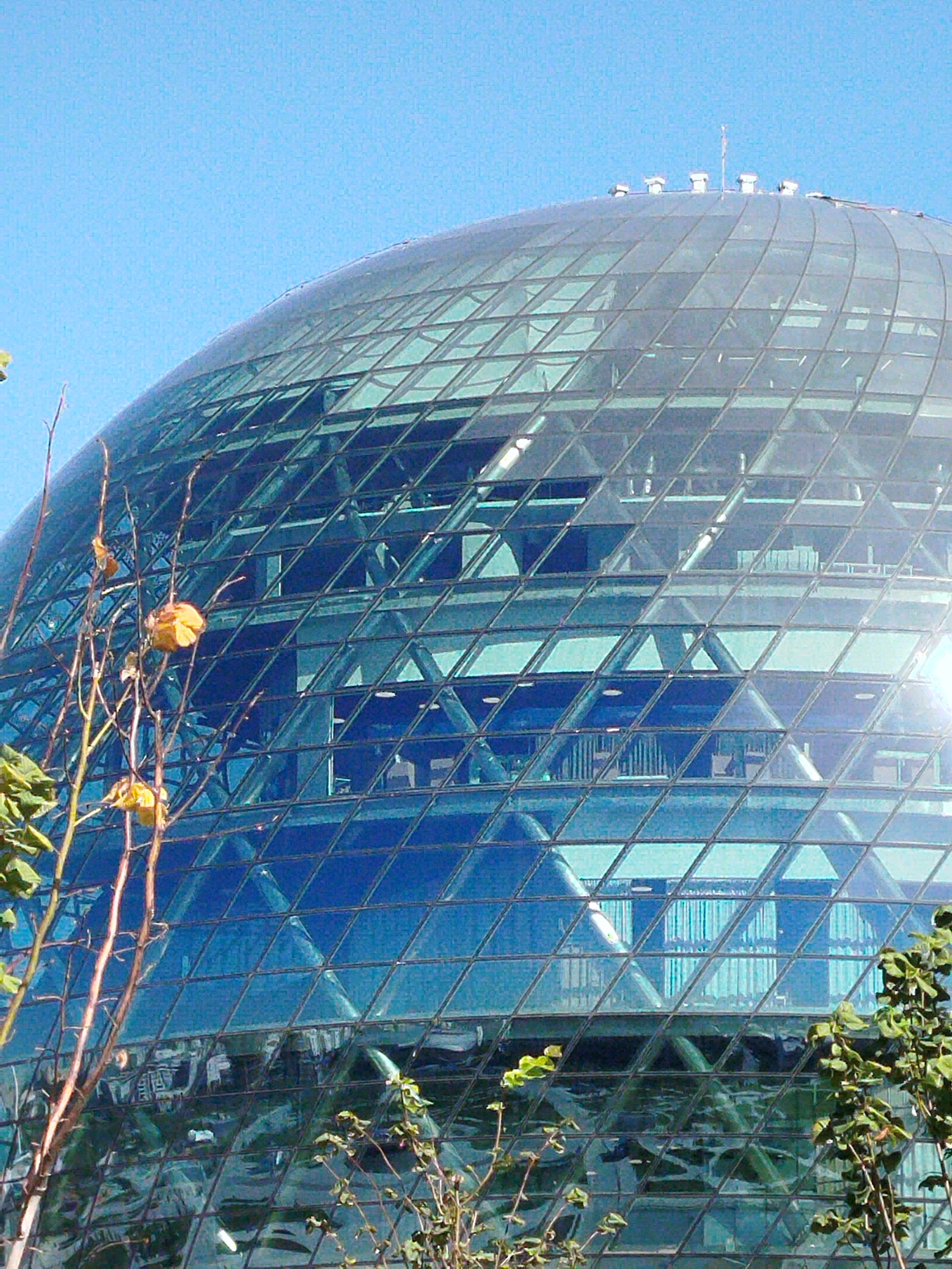 A close-up, low-angle shot captures a portion of a large, geodesic dome-like building with a glass facade, set against a clear blue sky. The glass panels are arranged in a grid of diamonds, creating a faceted appearance. Within the dome, internal structures and floors are visible through the transparent glass. Sunlight reflects off the glass surfaces, creating bright highlights. In the foreground, bare branches with a few dried yellow leaves extend into the frame from the left and bottom, along with some green foliage on the right, suggesting an outdoor setting during a season with some plant life. The building's architecture suggests it is a modern structure. This building is the Nur Alem Pavilion, part of the National Atomic Company Kazatomprom, located in Astana, Kazakhstan, and was originally built for the EXPO 2017 exhibition.
