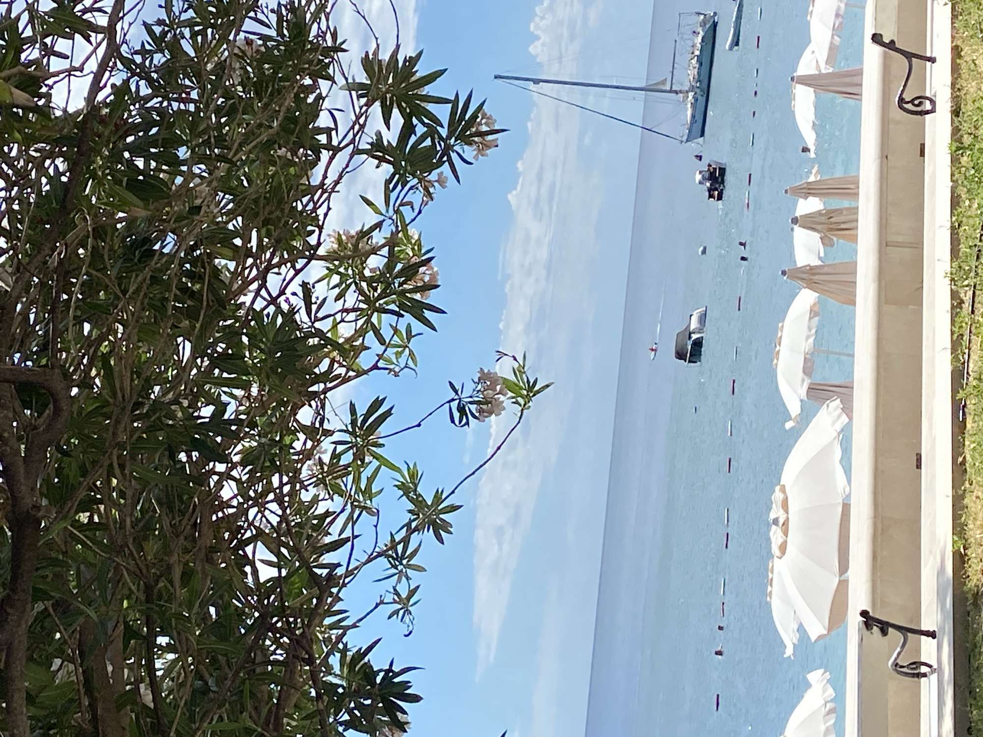 An outdoor scene depicts a view of the Adriatic Sea in Petrovac centar, Montenegro, framed by branches of a tree with green leaves and small white flowers. The sea is a calm blue, dotted with a few boats and buoys. In the foreground, several white beach umbrellas are either open or folded, arranged along a light-colored wall. A decorative metal bench is visible in the lower left corner. The sky is a clear blue with scattered white clouds.