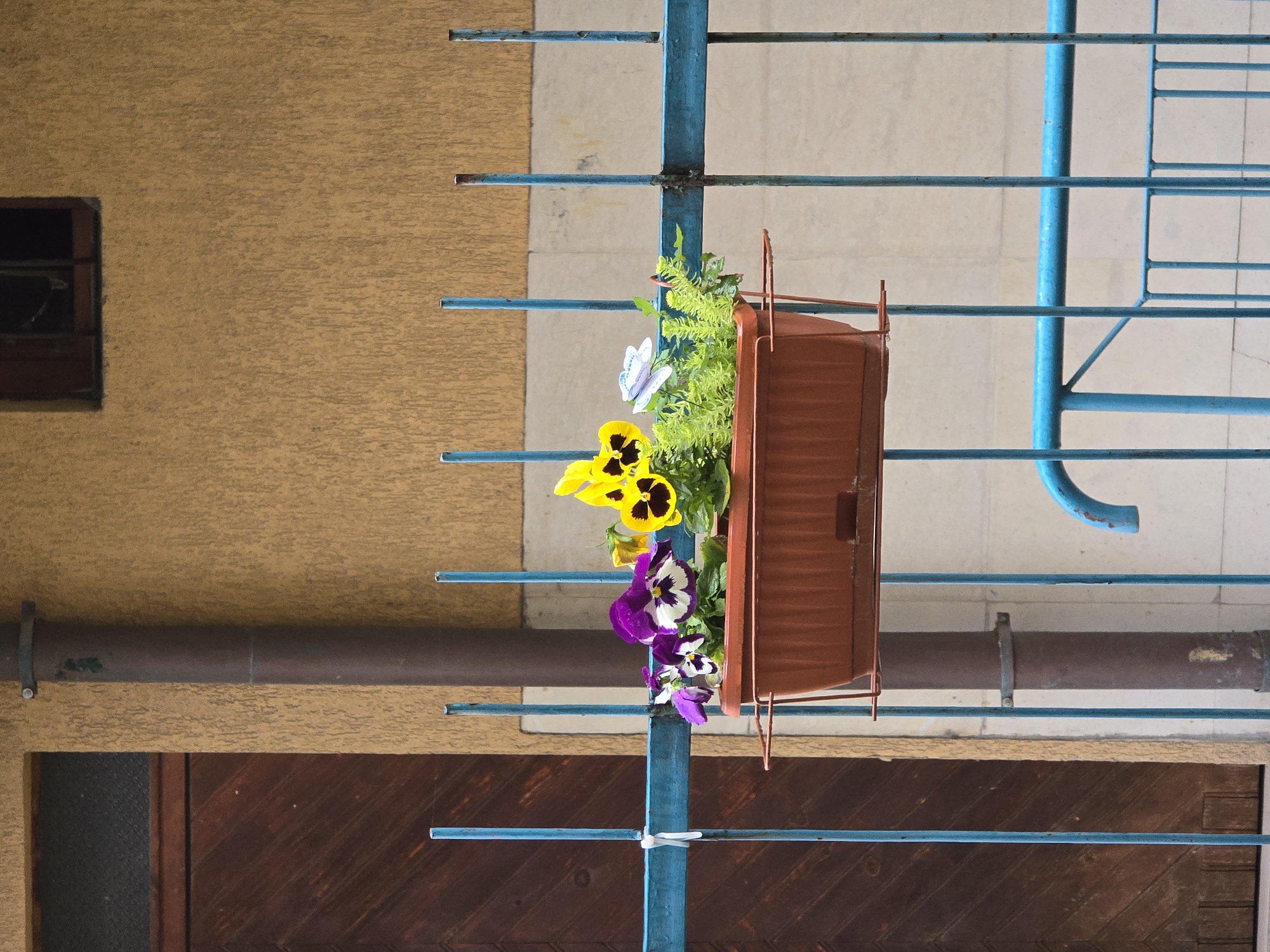 A brown rectangular planter box, filled with vibrant flowers and green foliage, is the central focus of this image. The planter hangs from a weathered blue metal railing, which comprises several horizontal bars and a thicker vertical support. Inside the planter, yellow pansies with dark centers and purple-and-white pansies bloom, accompanied by lush green leafy plants. A small white butterfly ornament is visible among the greenery.
To the left of the blue railing, a textured, light brown building wall forms the background. A small, dark, recessed window with what appears to be a wooden frame or shutters is visible on this wall in the upper left section. Below the window, a dark brown pipe runs horizontally across the wall, secured by a metal bracket. Further down, a dark brown wooden surface, possibly a door or panel, is partially visible.
To the right of the railing, a lighter, more uniformly colored background, possibly a concrete or tiled surface, can be seen. The lighting suggests it is daytime, with natural, soft illumination indicating a bright but perhaps overcast sky, or a time when the sun is not directly overhead, as there are no harsh shadows. No activity is taking place, and no people or visible text are present in the static outdoor scene.