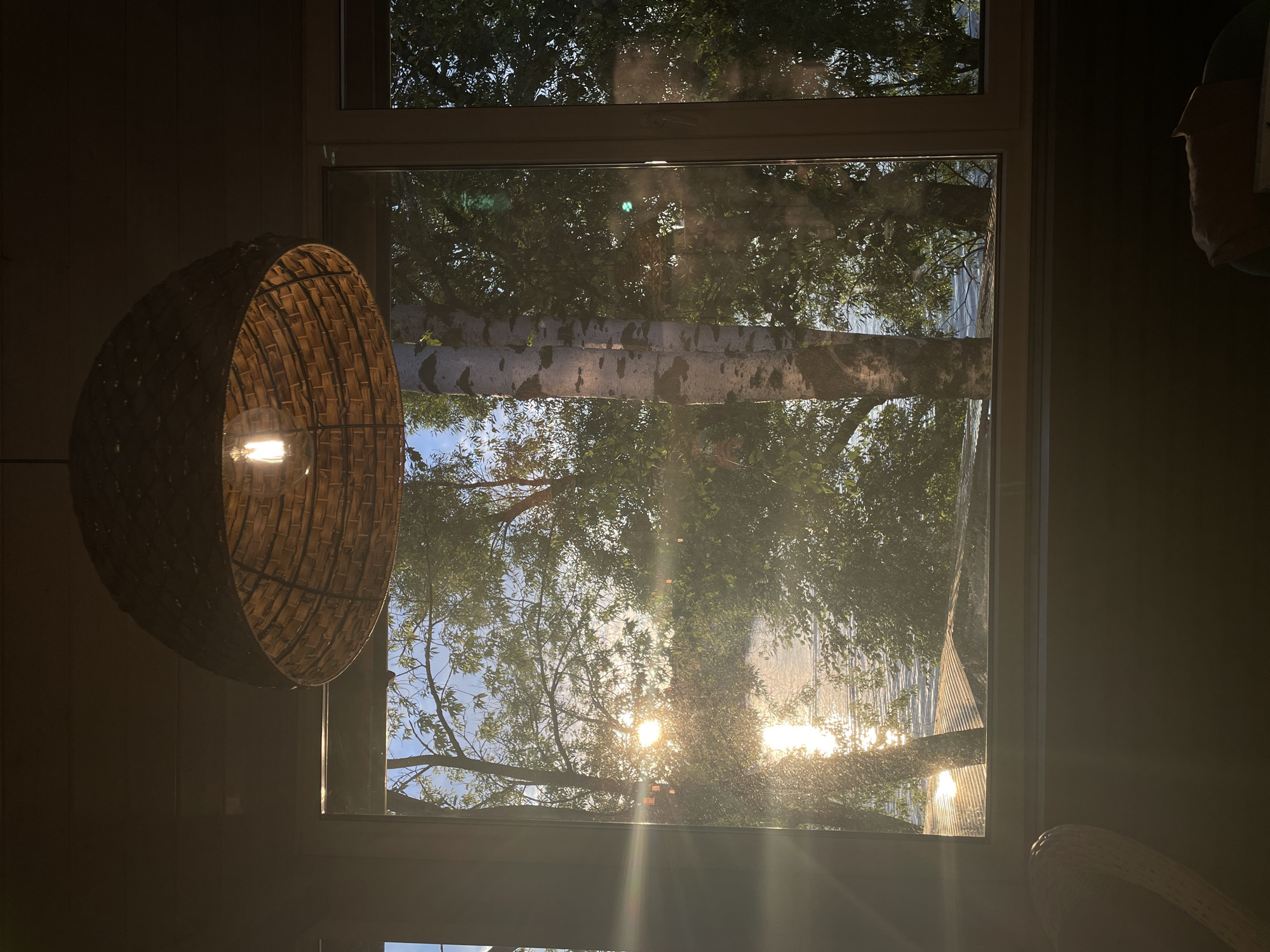 The image depicts a view through a window of a body of water surrounded by trees, illuminated by the setting sun. A woven lampshade with a visible light bulb hangs in the foreground, obscuring the top portion of the window. The sunlight creates a strong lens flare effect, obscuring details in the water and on the foliage. Two birch trees with distinctive white and black bark are prominently visible in the middle ground, one partially in front of the other. The overall impression is one of a tranquil, natural scene viewed from indoors. There is no indication of the city of Khimki, Russia, or any specific location within it.