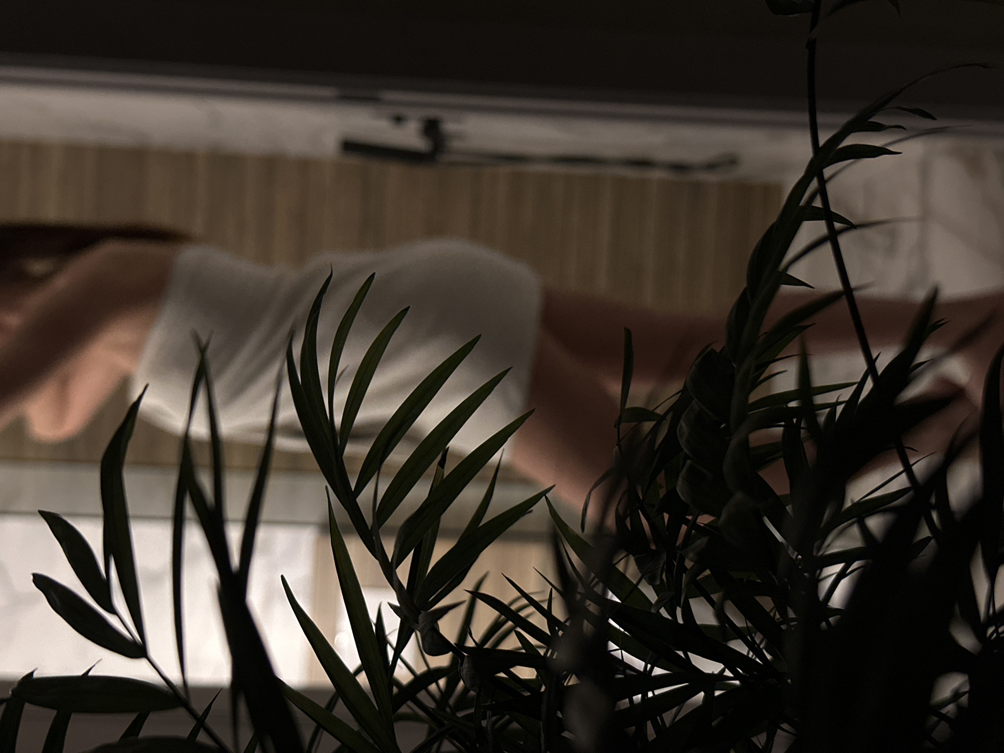 The image shows a woman lying face down, possibly on a massage table, wearing a white garment. The background features a wooden-slatted surface, and what appears to be an air conditioning unit is visible above. The foreground is dominated by dark, leafy plants, obscuring parts of the scene. The location is presumed to be in Chaikovsky, Russia, based on the prompt. No specific actions or interactions are discernible other than the woman's prone position. The environment appears dimly lit and indoors.
