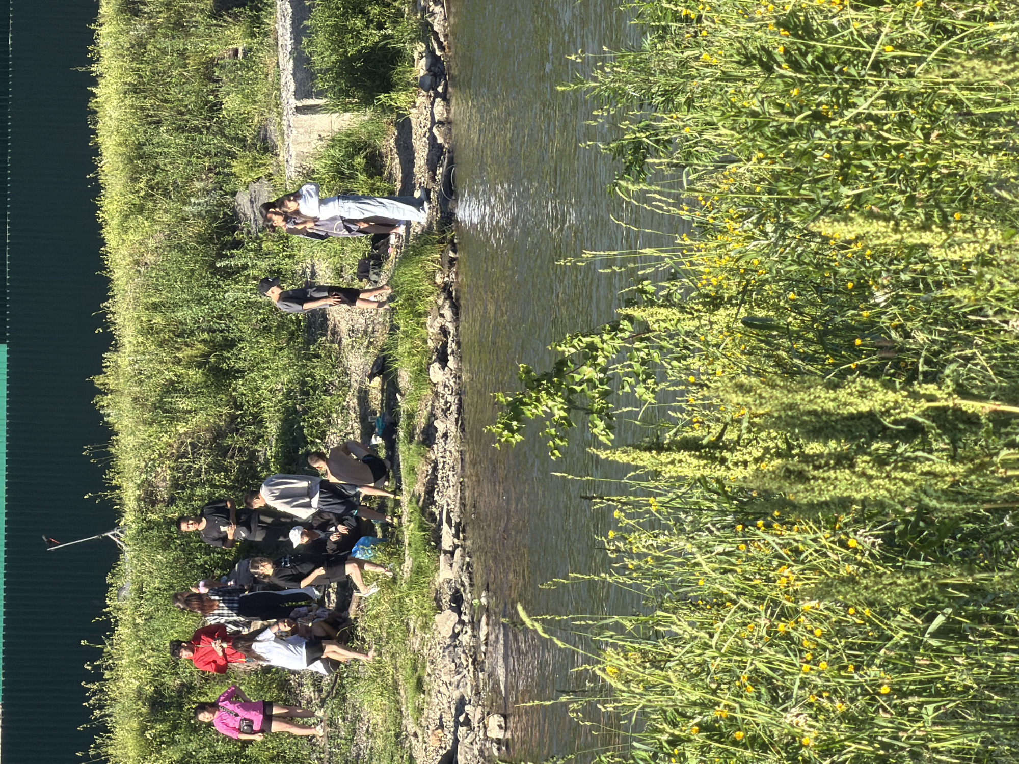 A group of approximately 13 people, mostly young adults and teenagers, are gathered on a grassy bank near a body of water. The bank is lined with rocks and vegetation. In the background, a dark green corrugated fence runs horizontally. On the fence line, a metallic scooter with red handlebars is propped up.
The group is spread out, with some individuals standing and others sitting on the ground or on logs. Several people are dressed in casual summer clothing, including t-shirts, shorts, and skirts. Some are holding cups or drinks.
The body of water appears to be a river or lake, with its surface reflecting the sunlight. The foreground is dominated by tall green grass and small yellow wildflowers. The scene suggests a casual outdoor gathering, possibly a picnic or a day spent by the water.
There are no explicit indicators within the image to specify the exact location within the city of Tashtagol, Russia. The environment depicted is consistent with a natural setting often found near urban areas.