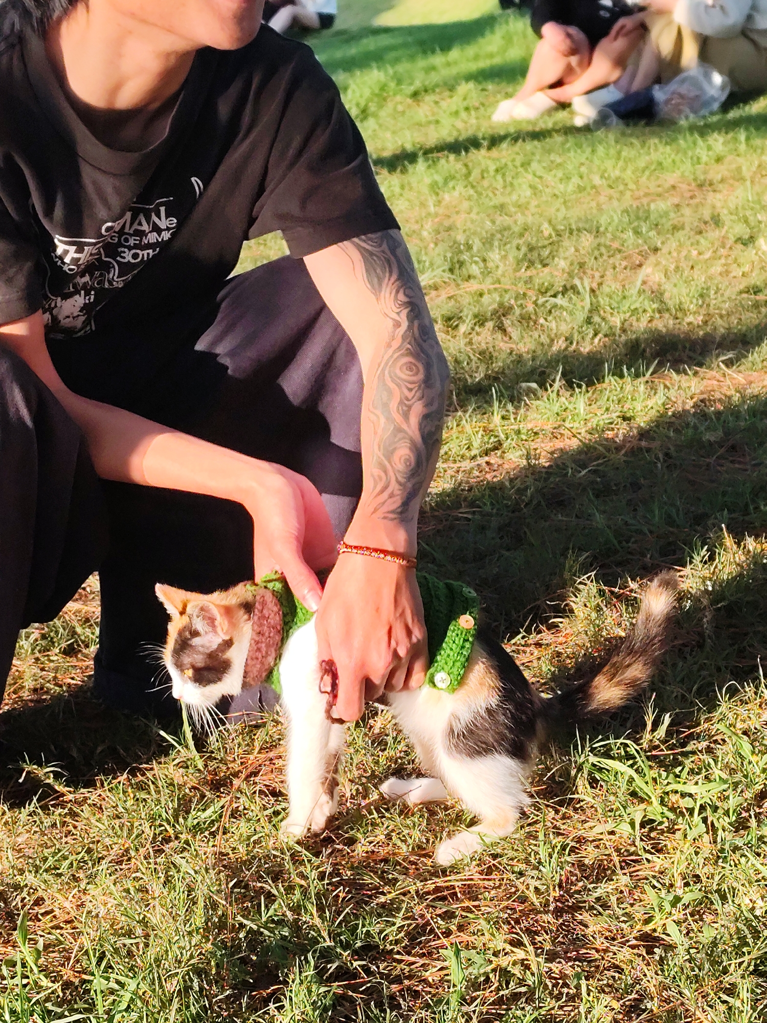 In Da Lat, Vietnam, a person wearing a black t-shirt with tattoos on their arm is kneeling in a grassy area, holding a calico cat. The cat is wearing a crocheted green sweater with brown trim and two buttons. The person's hands are gently holding the cat's torso and neck, and the cat is looking downwards, with its mouth slightly open. The environment appears to be an outdoor setting, possibly a park or picnic area, with sunlight filtering through the grass, creating dappled shadows. In the background, other people are visible sitting on the grass.